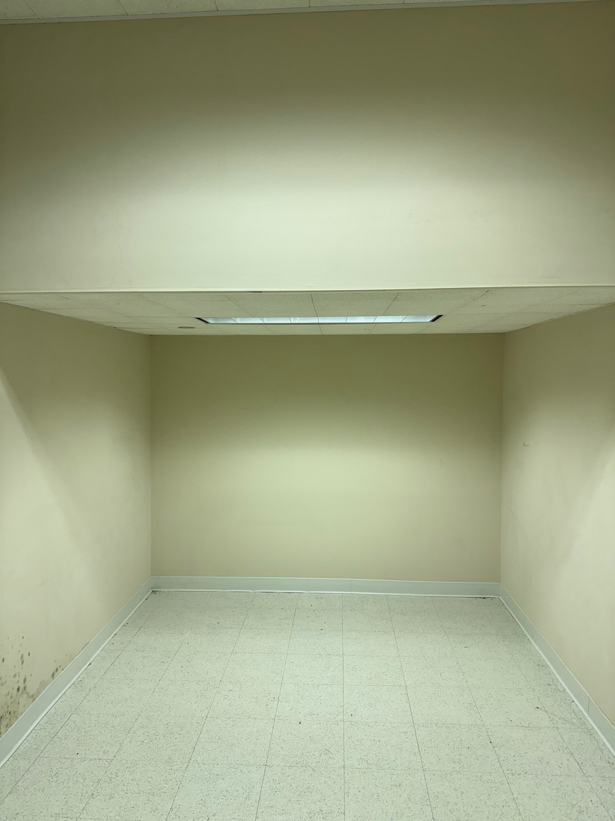 Mold Remediation Fairfield NJ by Pure Service Pro, LLC 