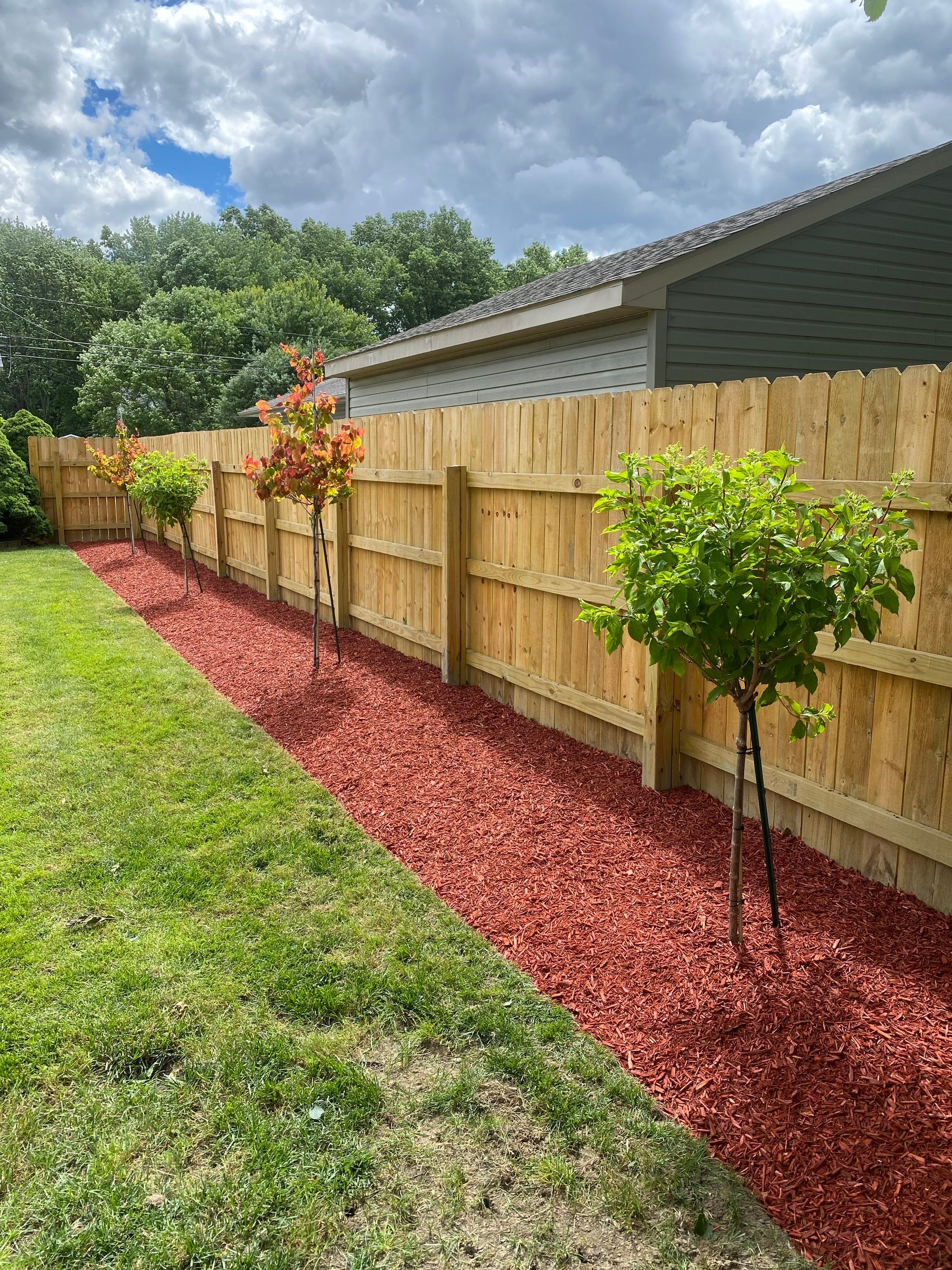 Redbud Fence Project  by Elm Rose Gardens