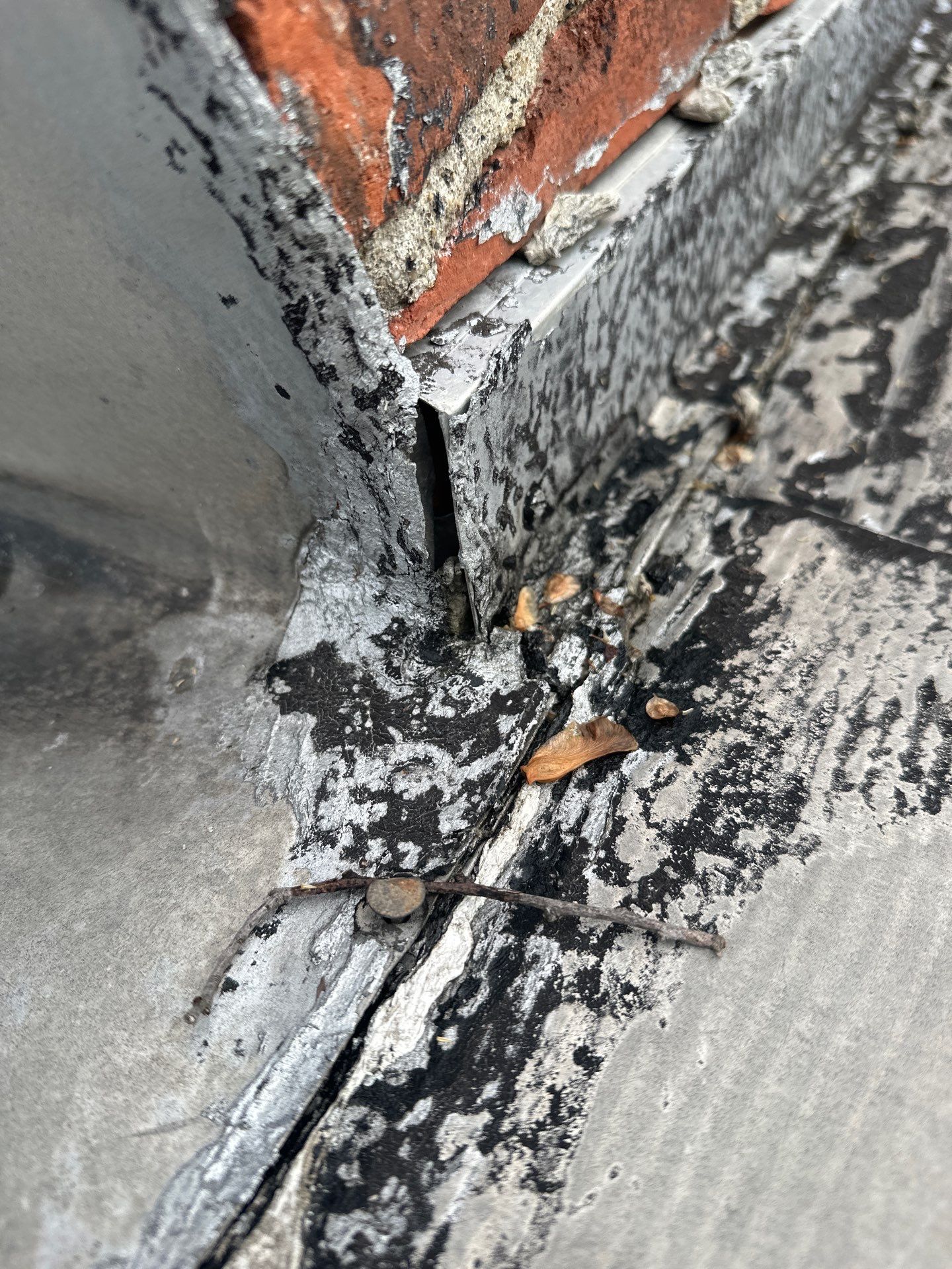 Hardie Siding and Window Project in Bridgeville by Cousins Roofing Siding & Decks