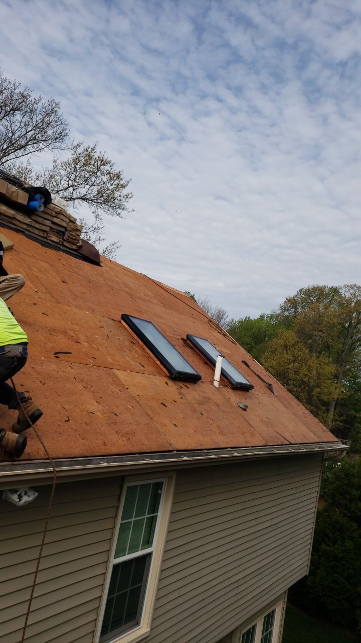 Springfield Certainteed Landmark Pro Designer Shingles by RM Banning, Inc.