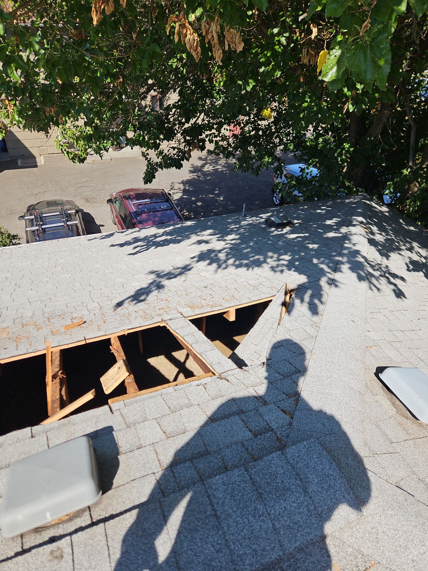 Belloni Fire Restoration by Adams restoration