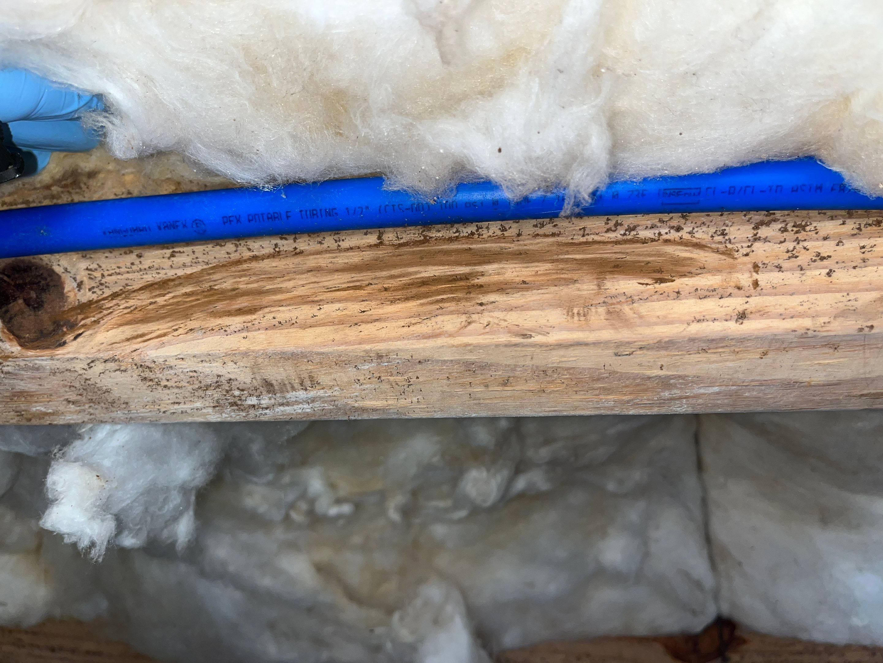 Impact Choice Encapsulation with French Drain, Mold Removal, and Crawlspace Door by Impact Crawlspace