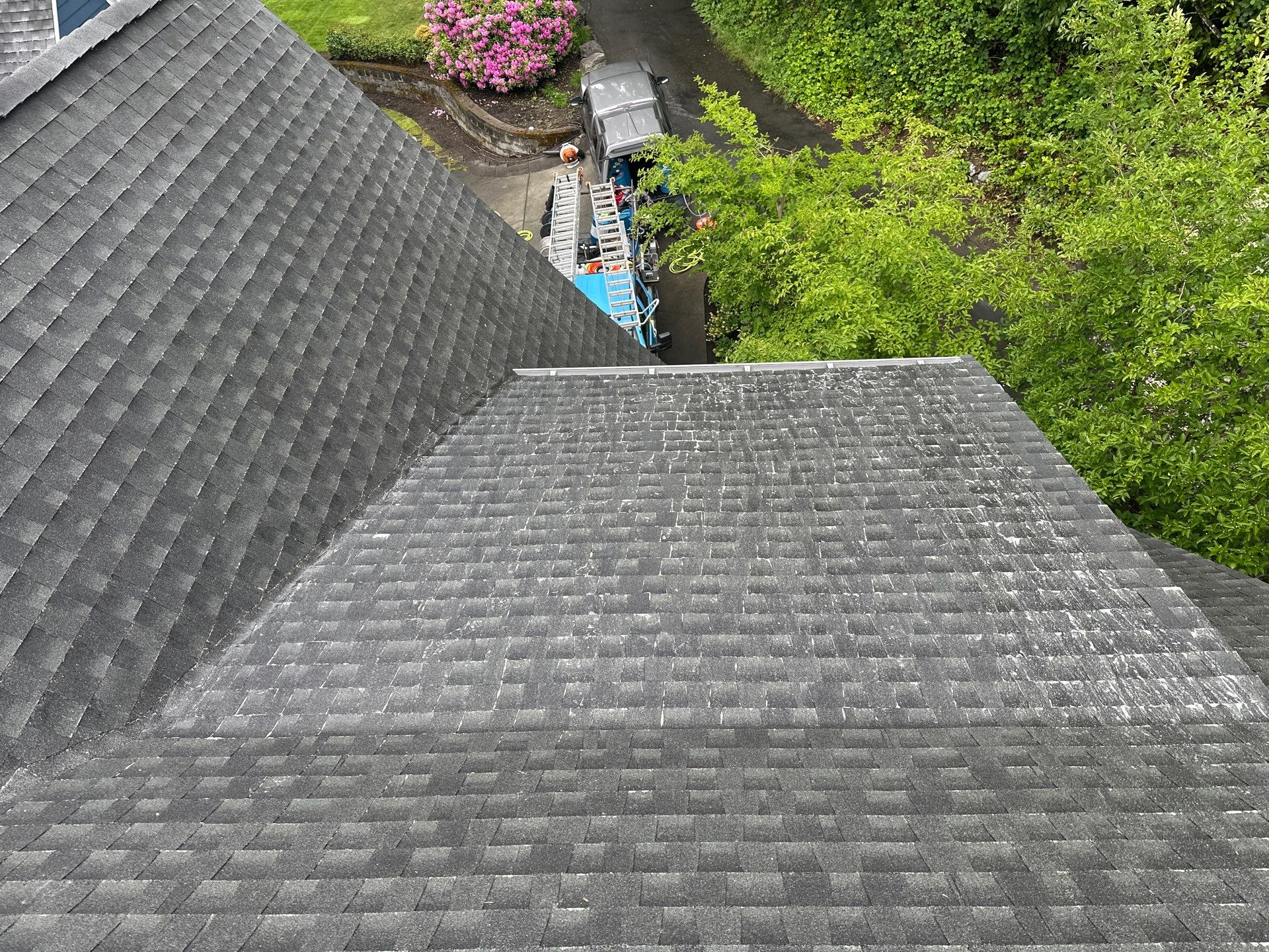 AGS Roof Wash in Mercer Island by WindowWorks