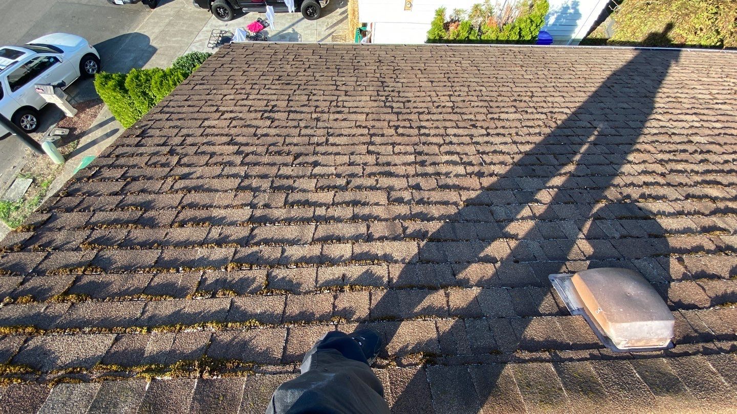 Estate Gray Shingles by Reimagine Roofing