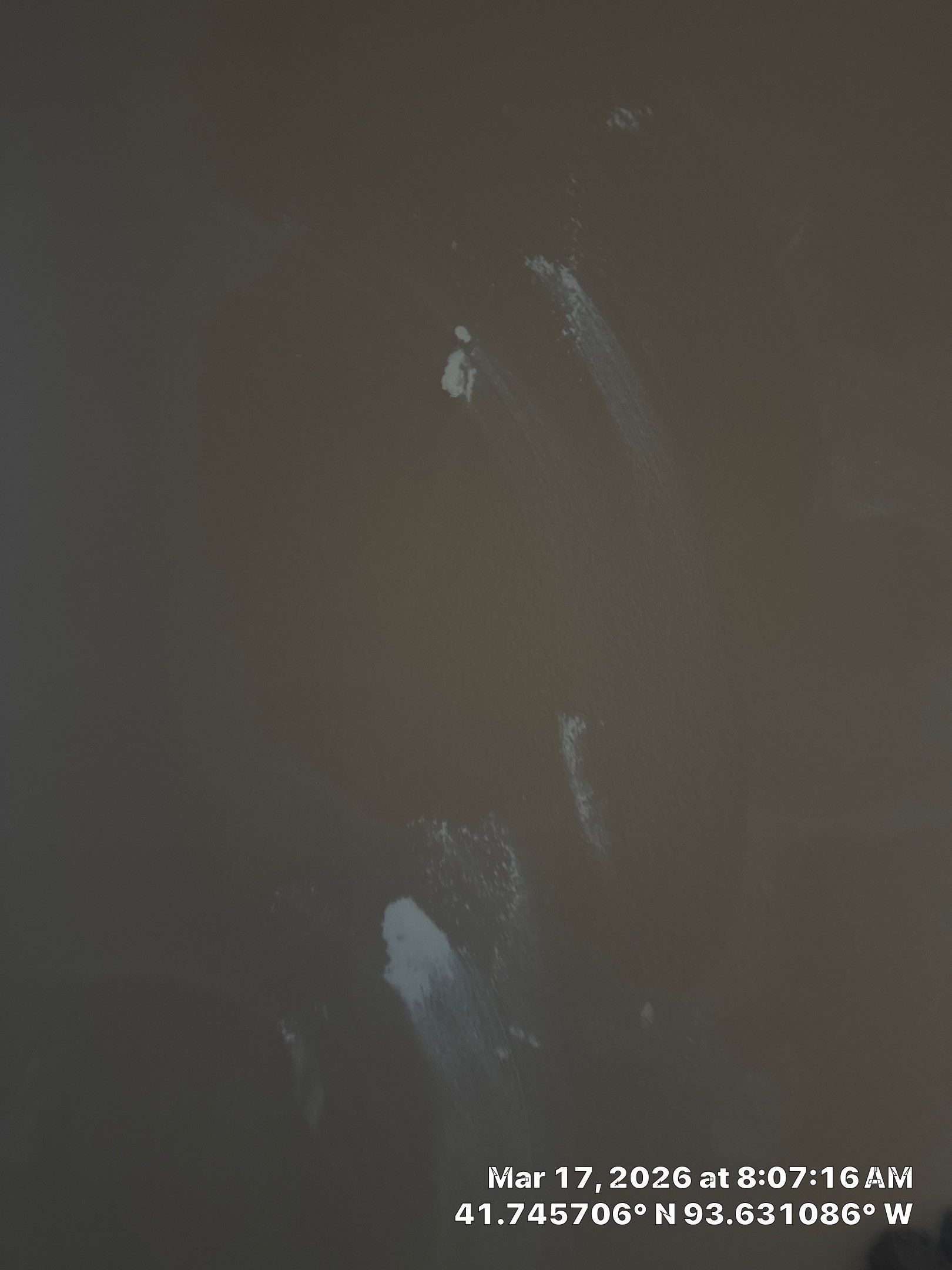 Repaint Walls and Ceiling by Midwest Paint LLC