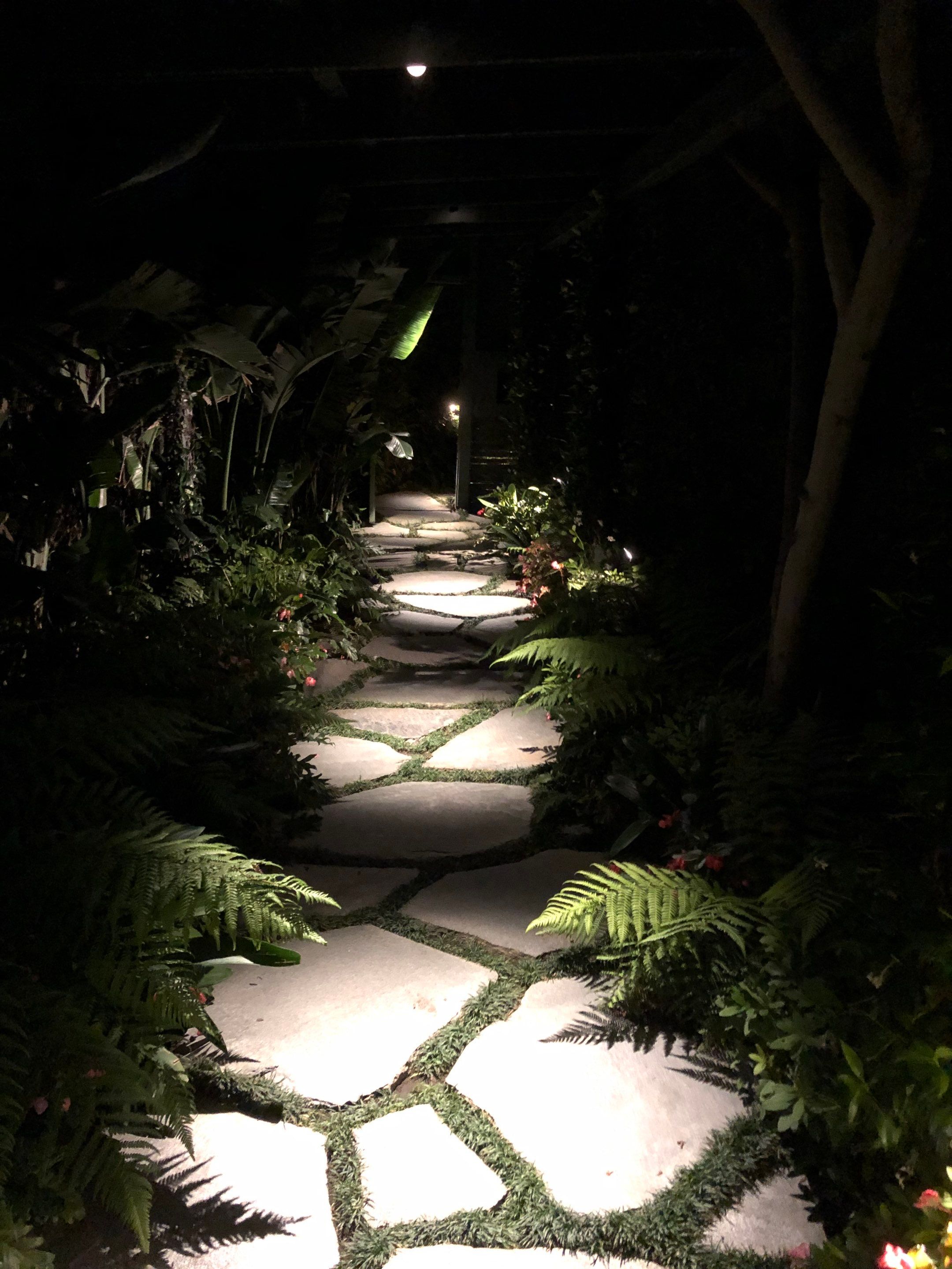 Outdoor AV and Landscape Lighting in Malibu by Outdoor Lights + Shades
