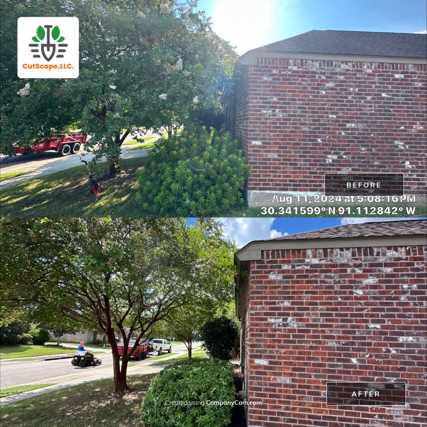 LANDSCAPE SERVICES: DEMO /PREP/ INSTALL / TRIM / MULCH INSTALL by CutScape, LLC.