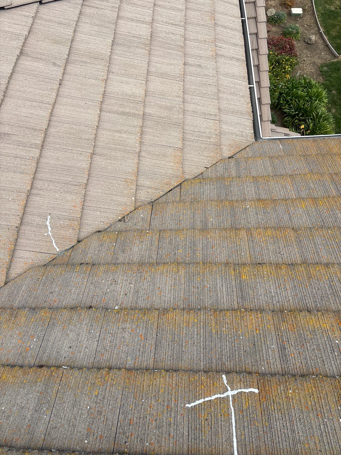 Moss Removal by Top Elevation