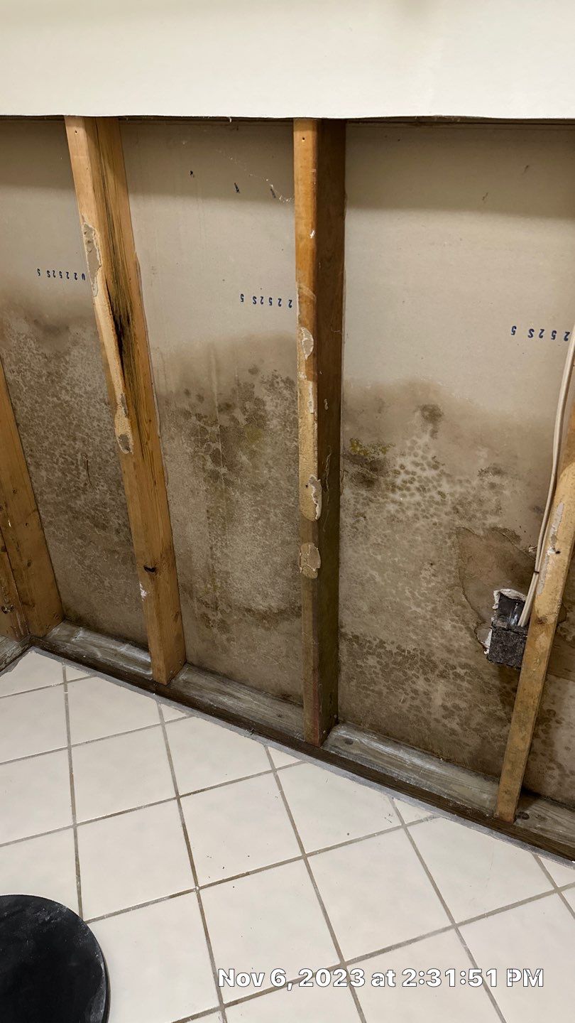 Water loss by Building performance Solutions LLC