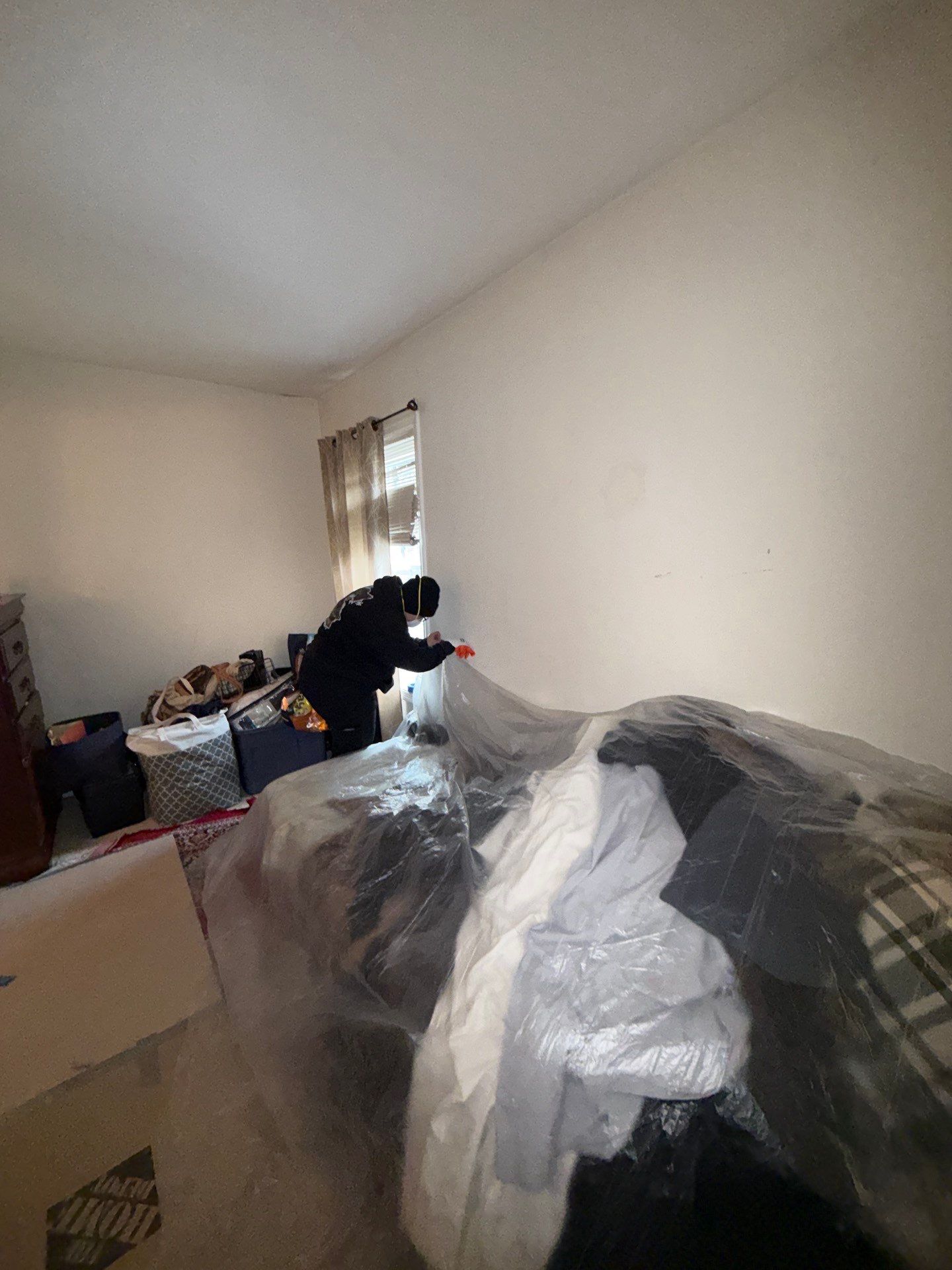 Project in Springfield by Restoration Doctor