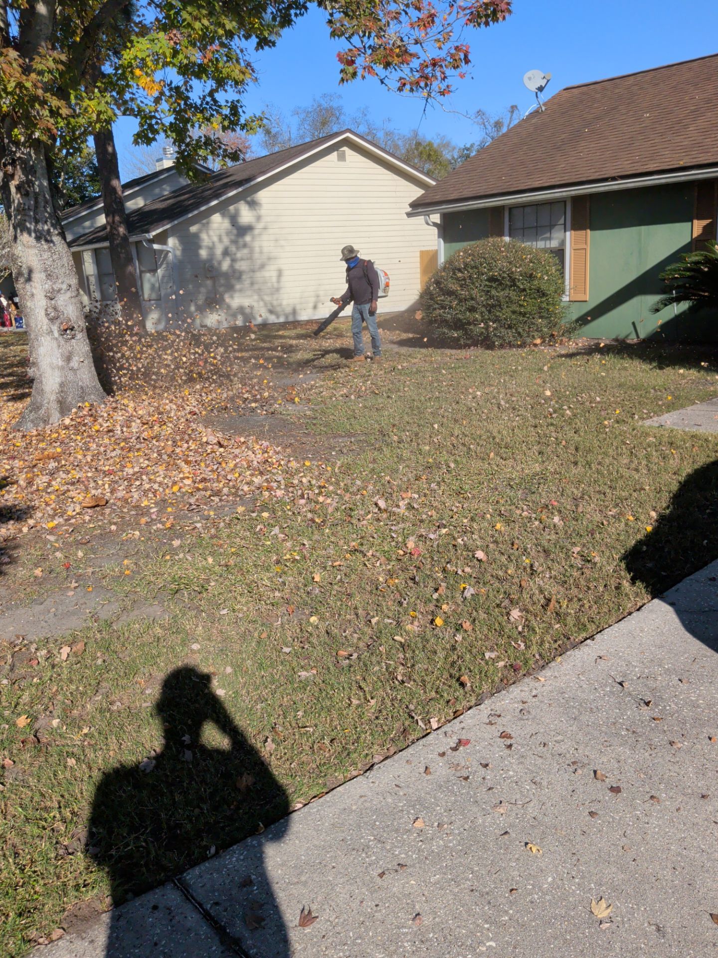 Residential Leaf Removal Service — Westside Jacksonville by Harmoni Home Services
