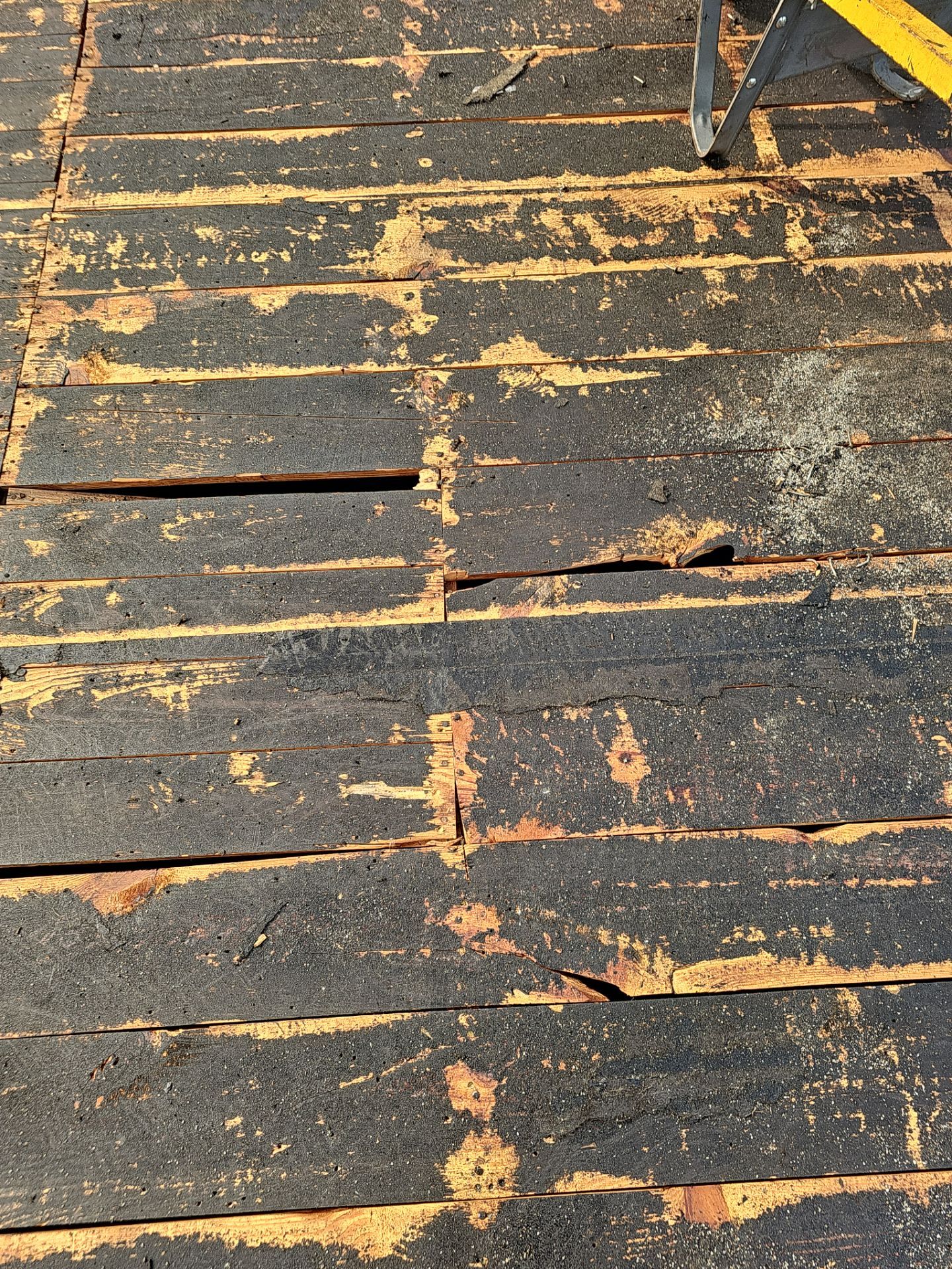 Project in Pinellas Park 33782 by Mitchell Roofing Company LLC