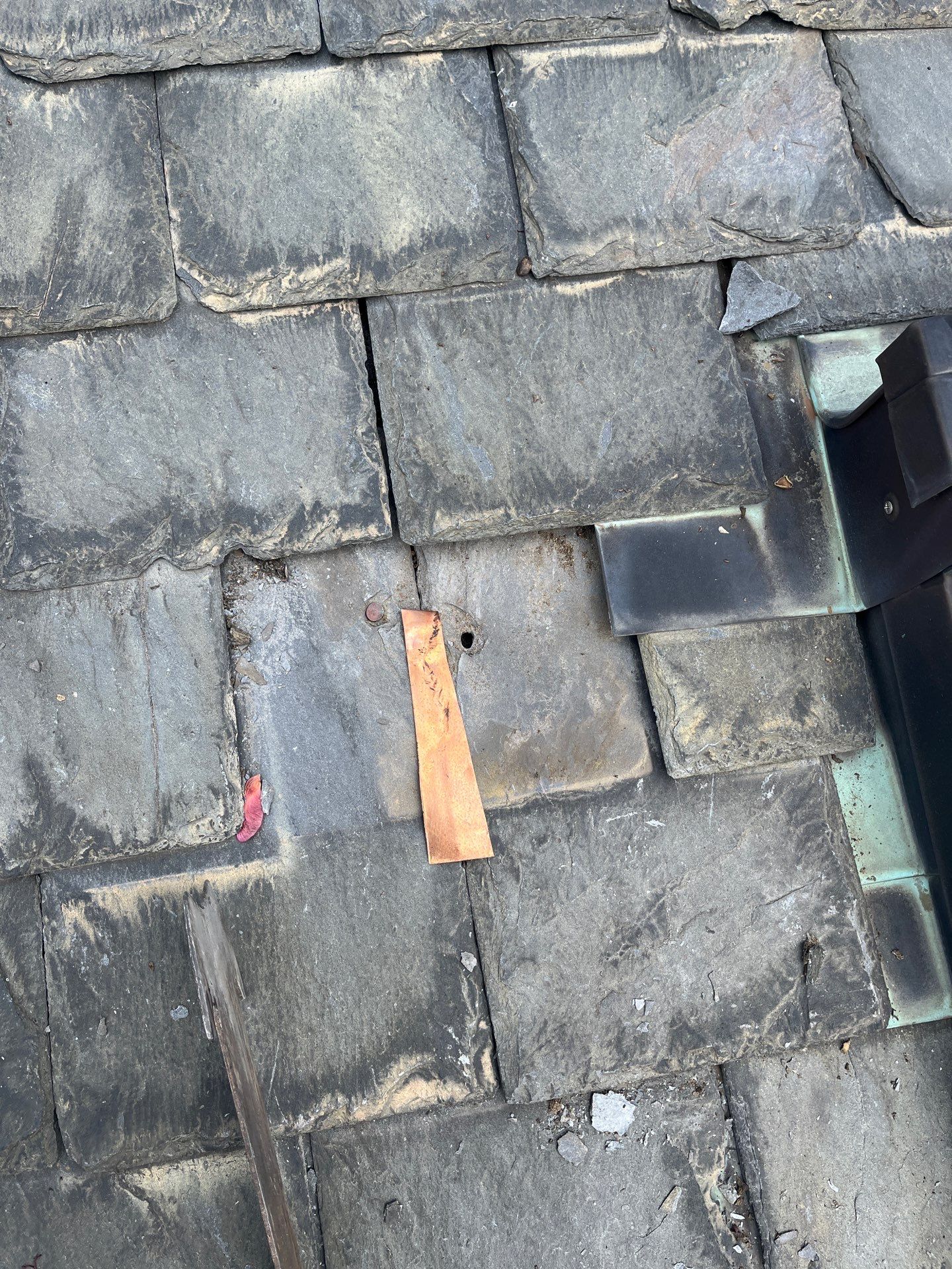 Arlington: Buckingham Slate and Carlisle Syntec TPO Roof by RM Banning, Inc.