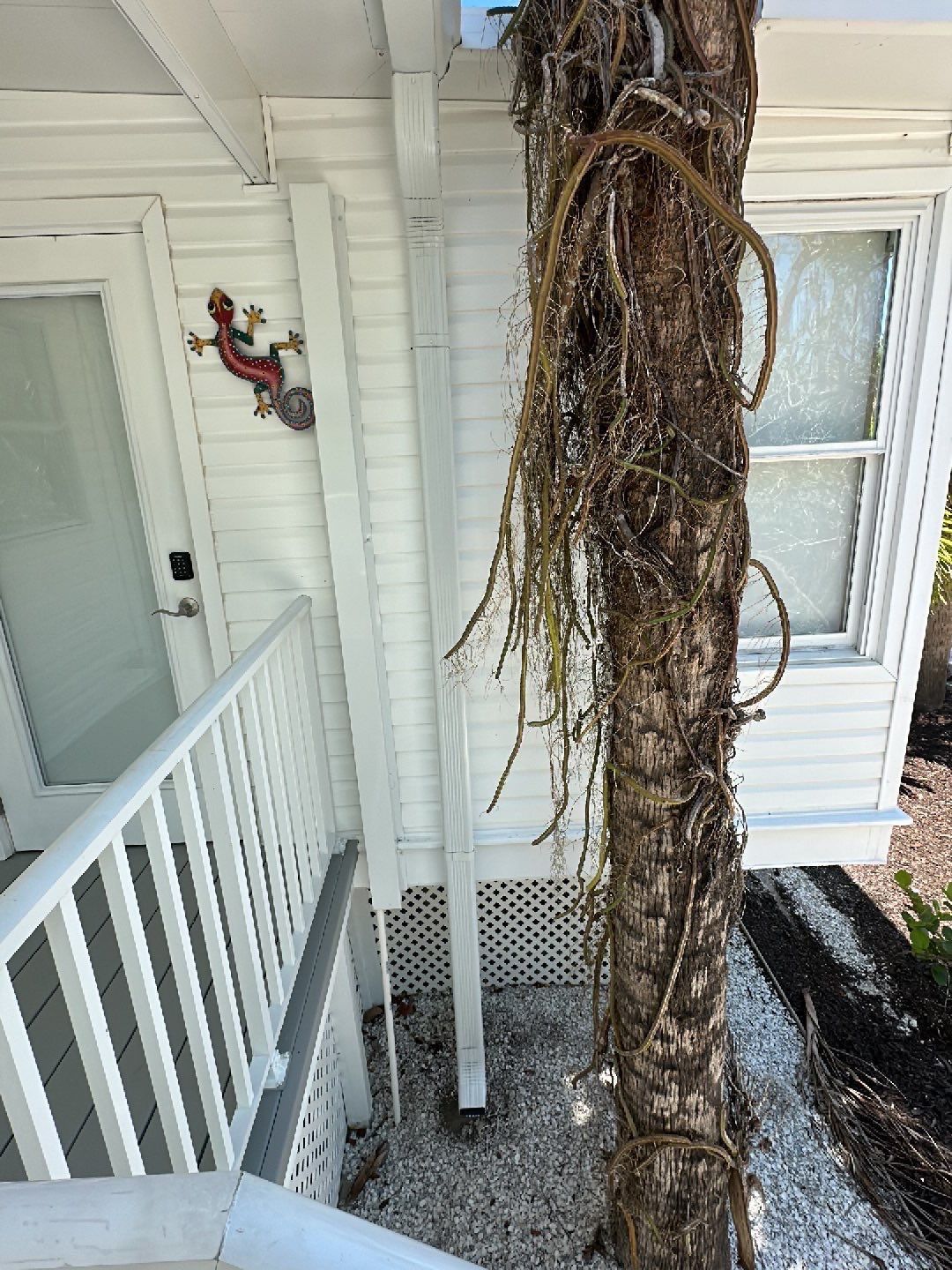 Downspout Installation using Charcoal Grey in Sanibel FL by Gutter Professors