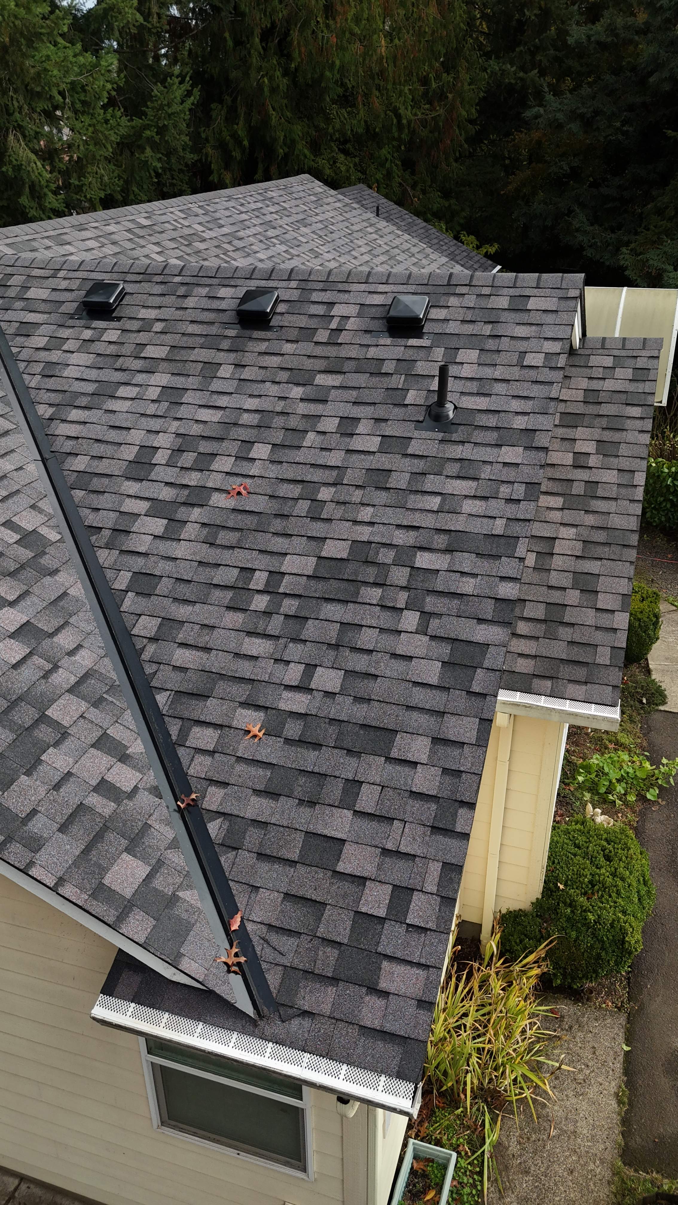 Midnight Plum | Roof Replacement in Vancouver, WA 98661 by Valiant Roofing, LLC
