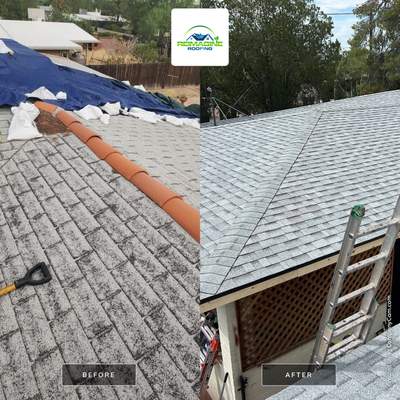 Silver Birch Shingles