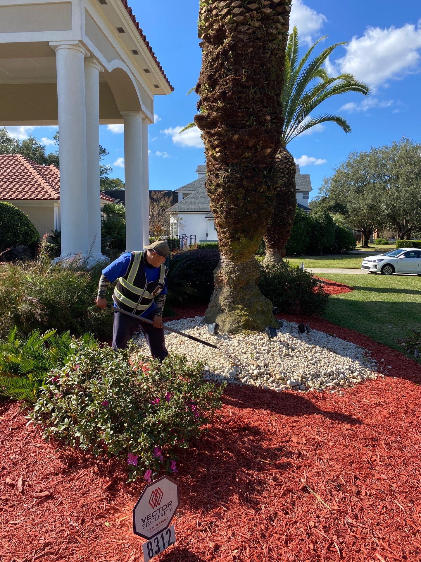 Deerwood Resident | Palm Trimming & Ground Cover by ProGreen Services