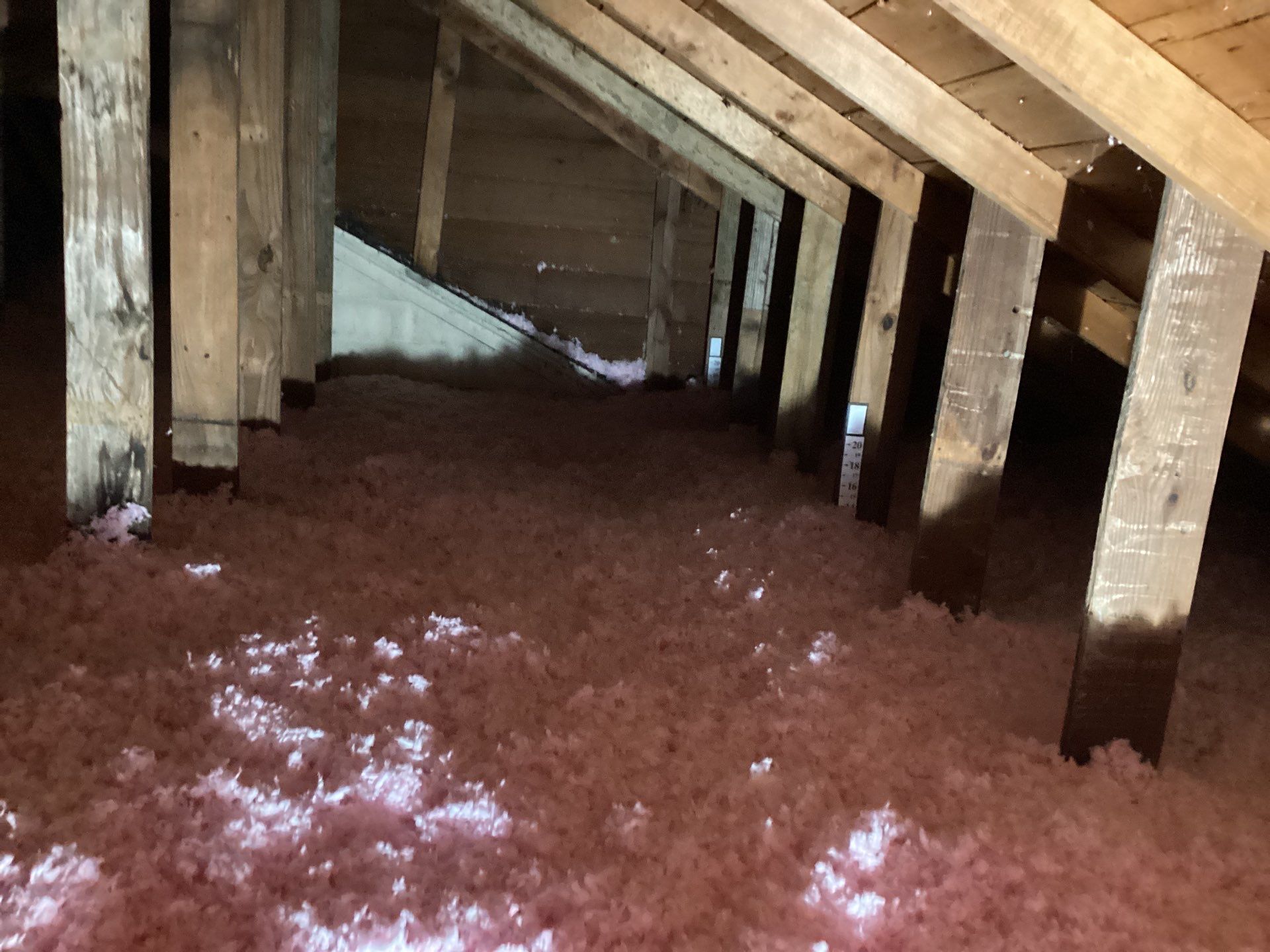 Project in Richmond by Trident Restoration, Inc