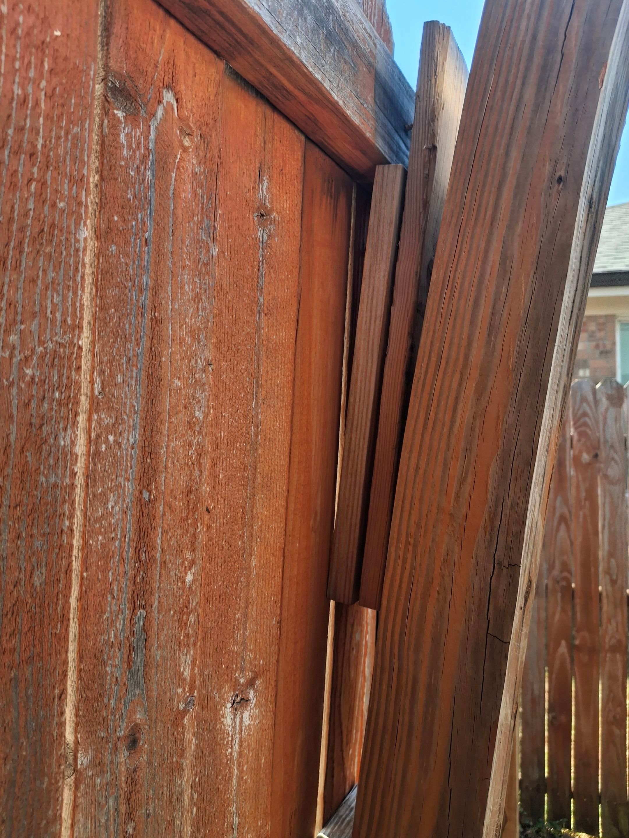 Post Installation & Fence Replacement in Crowley, TX photo 18