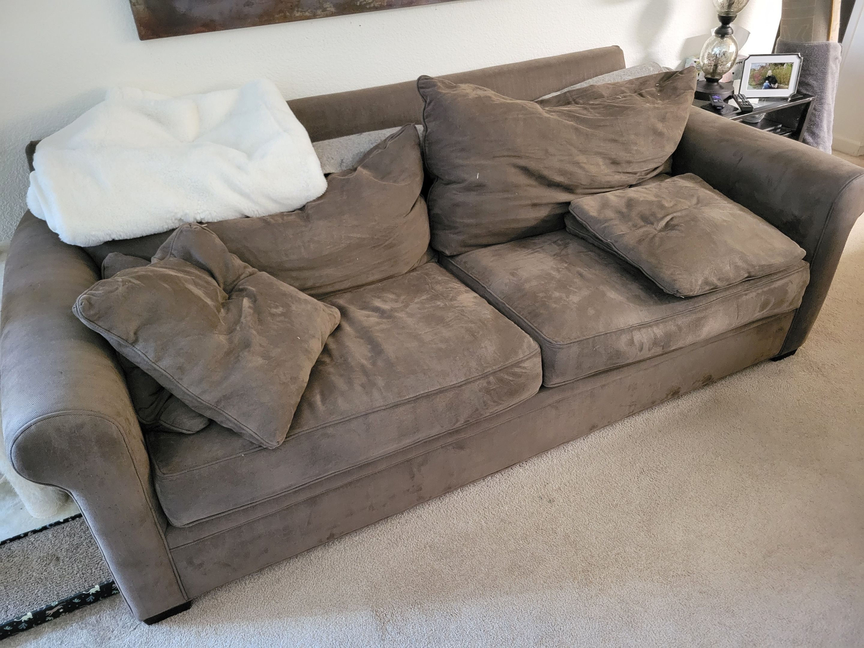 Upholstery Cleaning of Furniture Shells by Ardent Carpet Restore LLC