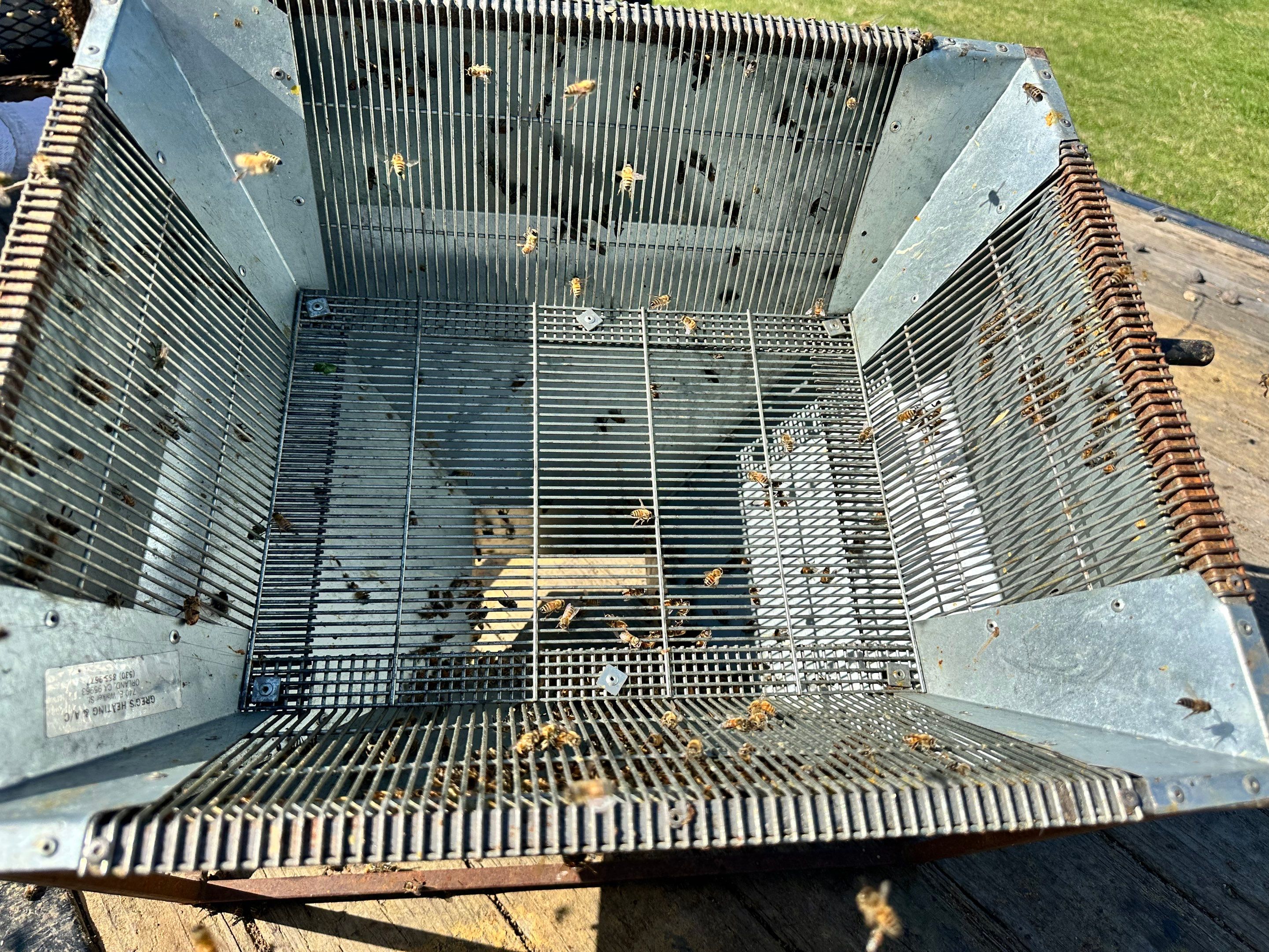 Peanut Farm Apiary by Rockwall Honey Bee Company