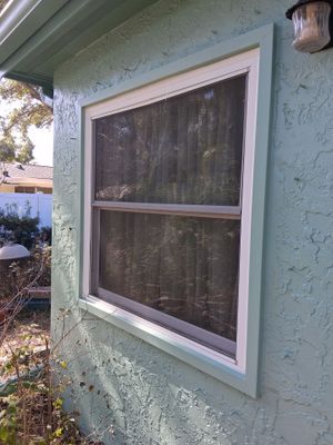 Project in Dunedin