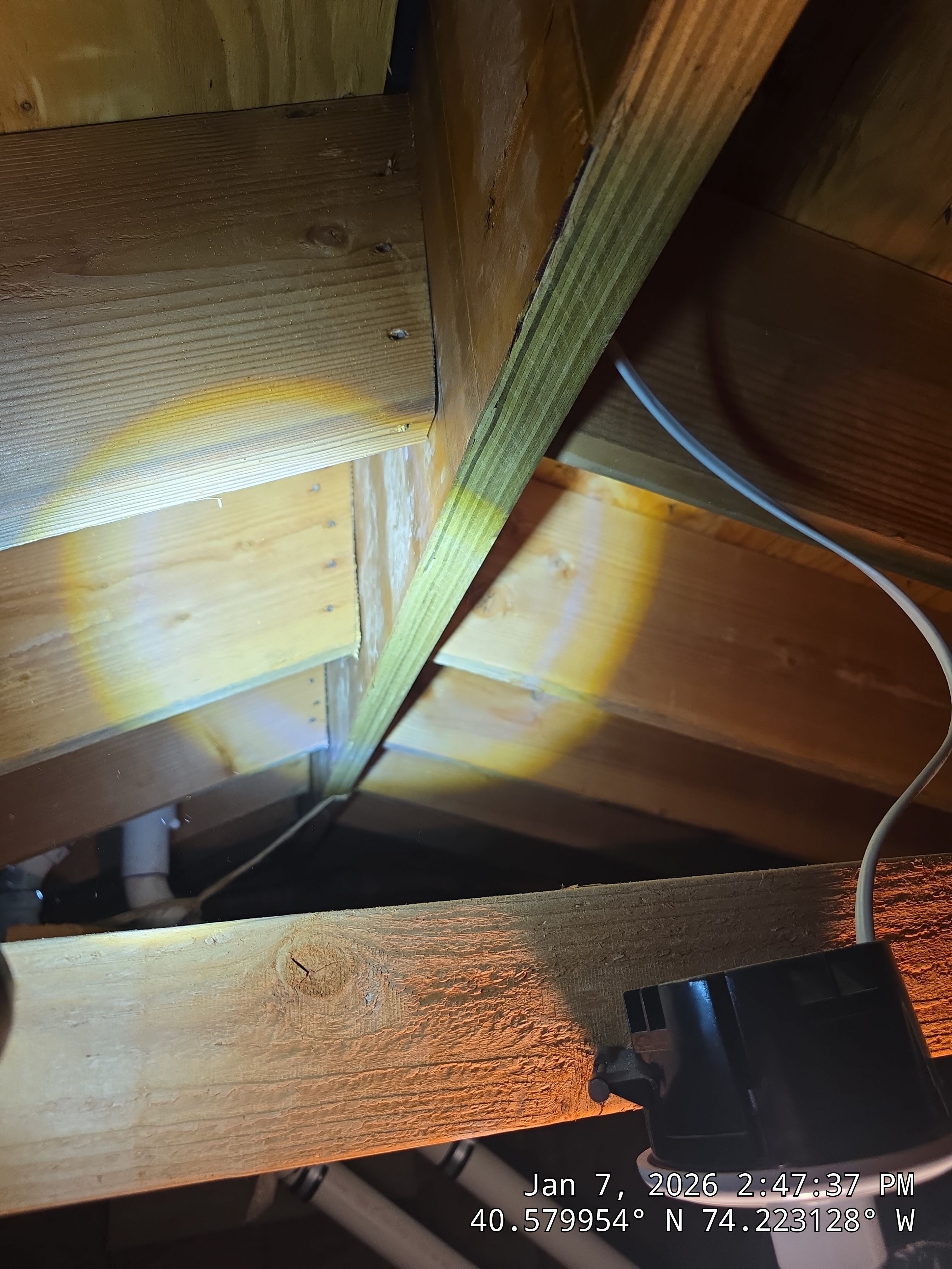 Structural Inspection by Veridian Engineering LLC