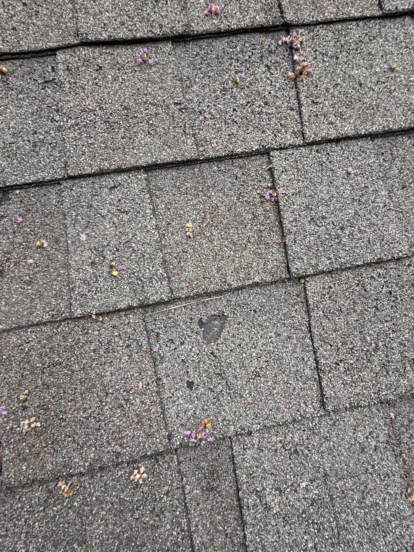 Roof Repair Houston by Roof Repair Services LLC
