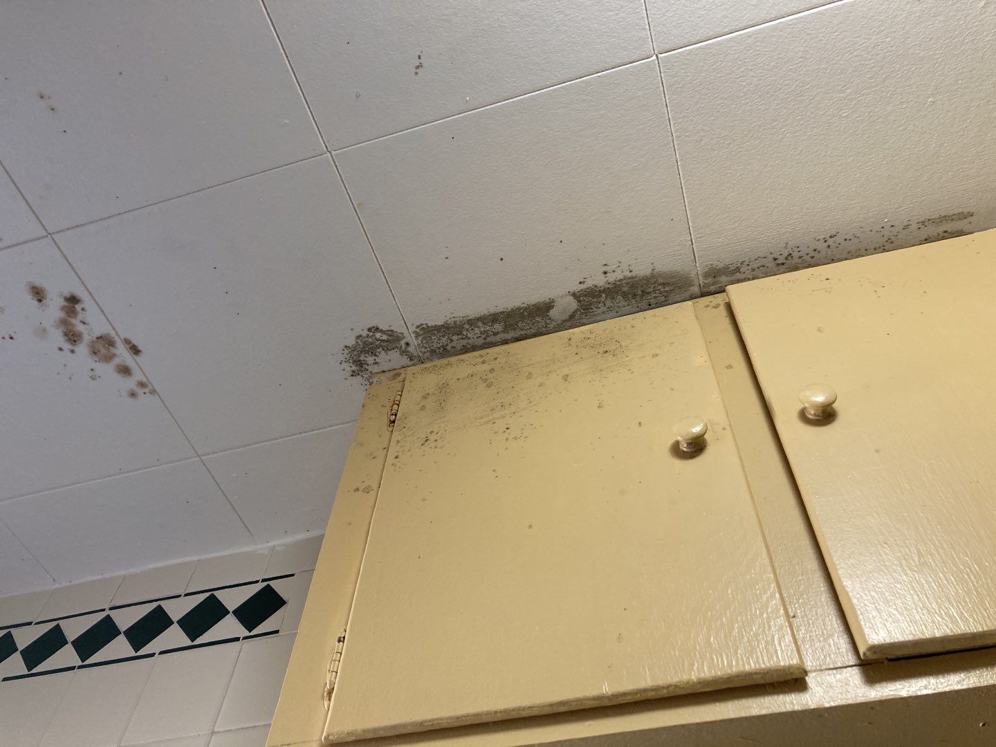 Water Damage in Bathroom by Accountable Home Services