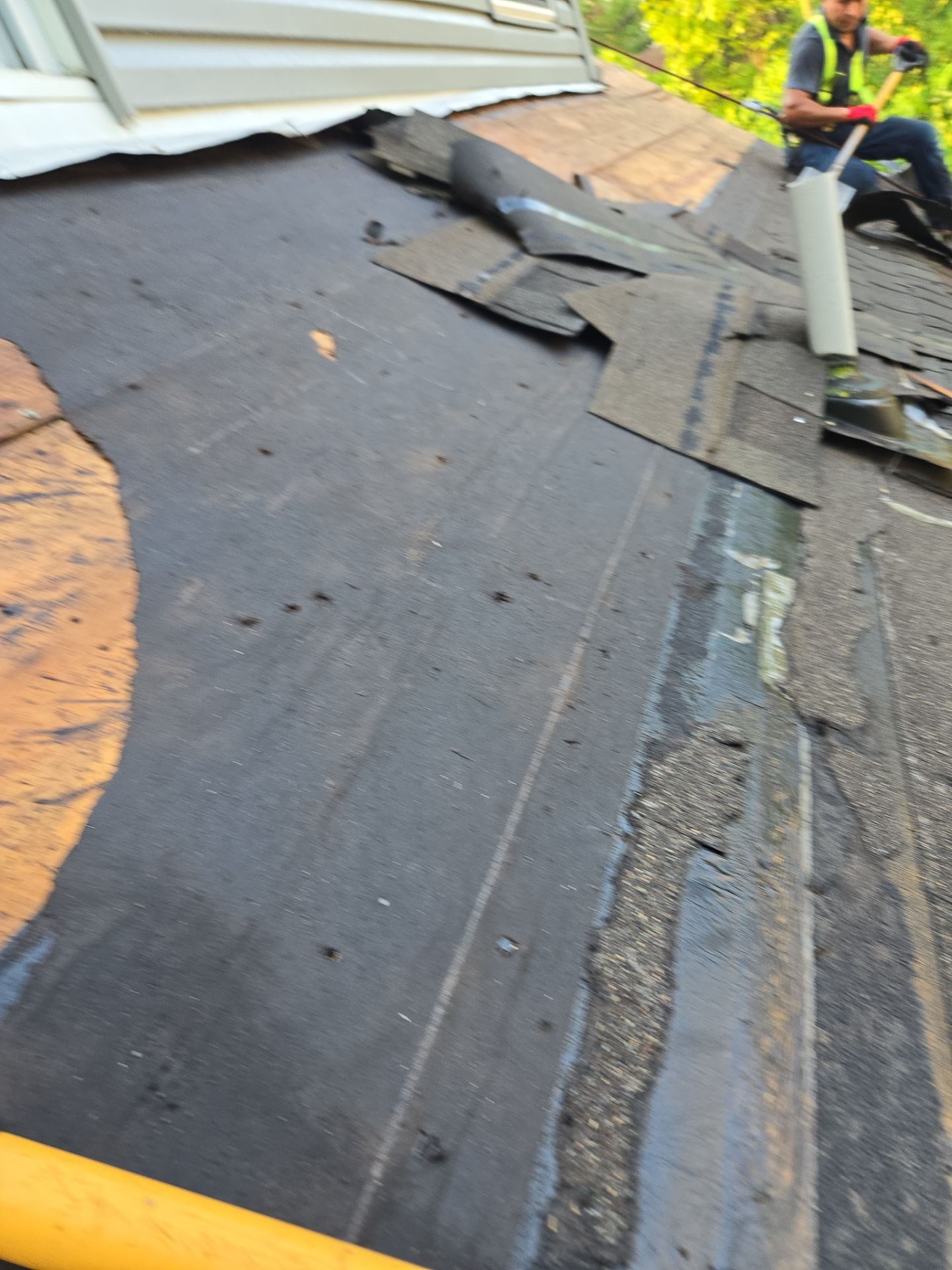 Atlas Pinnacle, Color, Black Shadow, Drip Edge, Color, Black by Eagle Eye Roofing