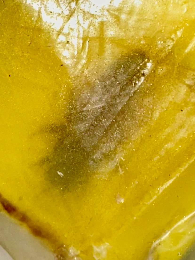 Hotel by Rockwall Honey Bee Company