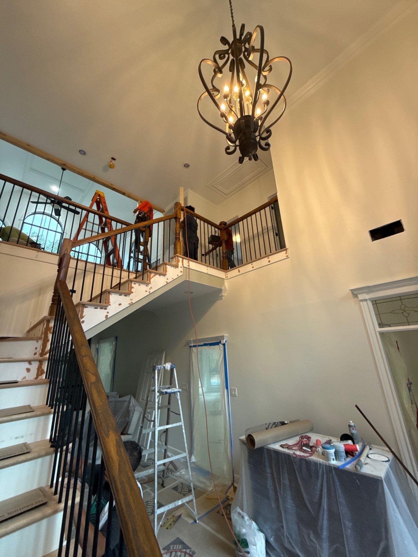 The Napolitano Family by SophAlx LLC