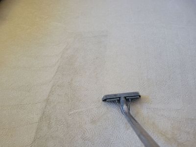 Carpet Cleaning in South Land Park