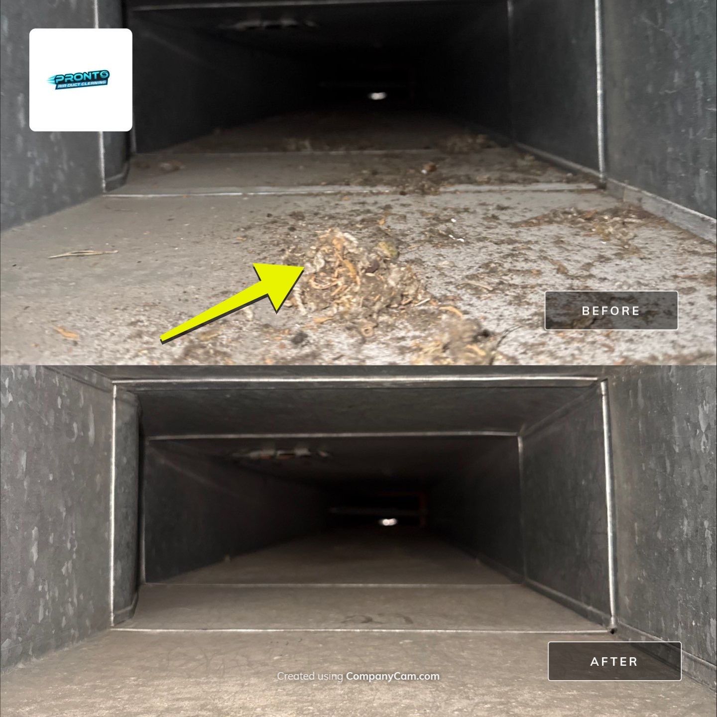 Air Duct Cleaning Montclair VA by Pronto Air Duct Cleaning