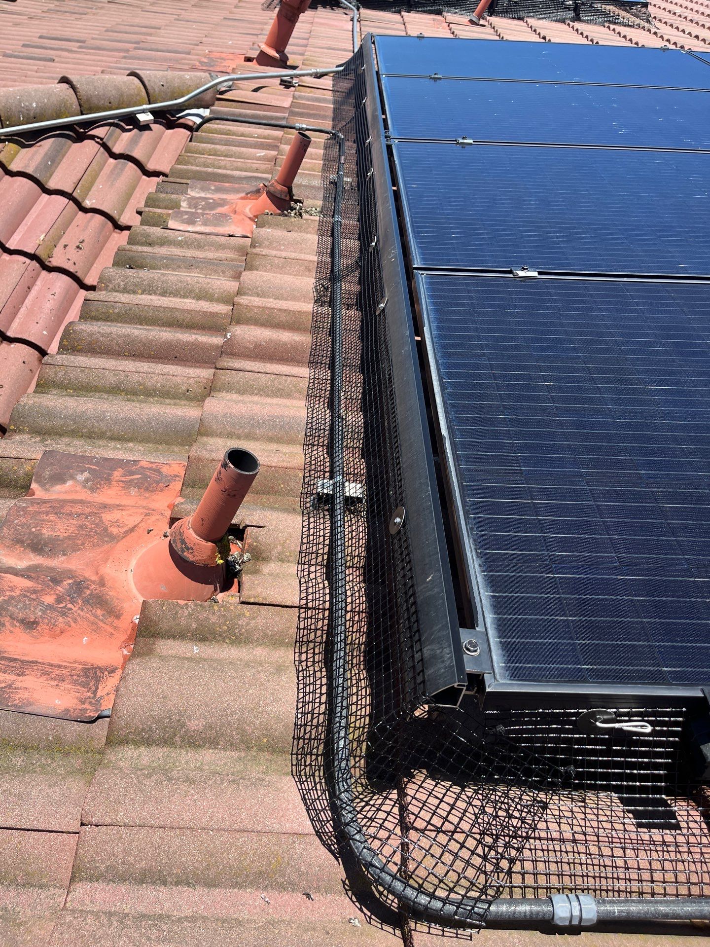 Project in Hollister, CA by All One Solar Shine