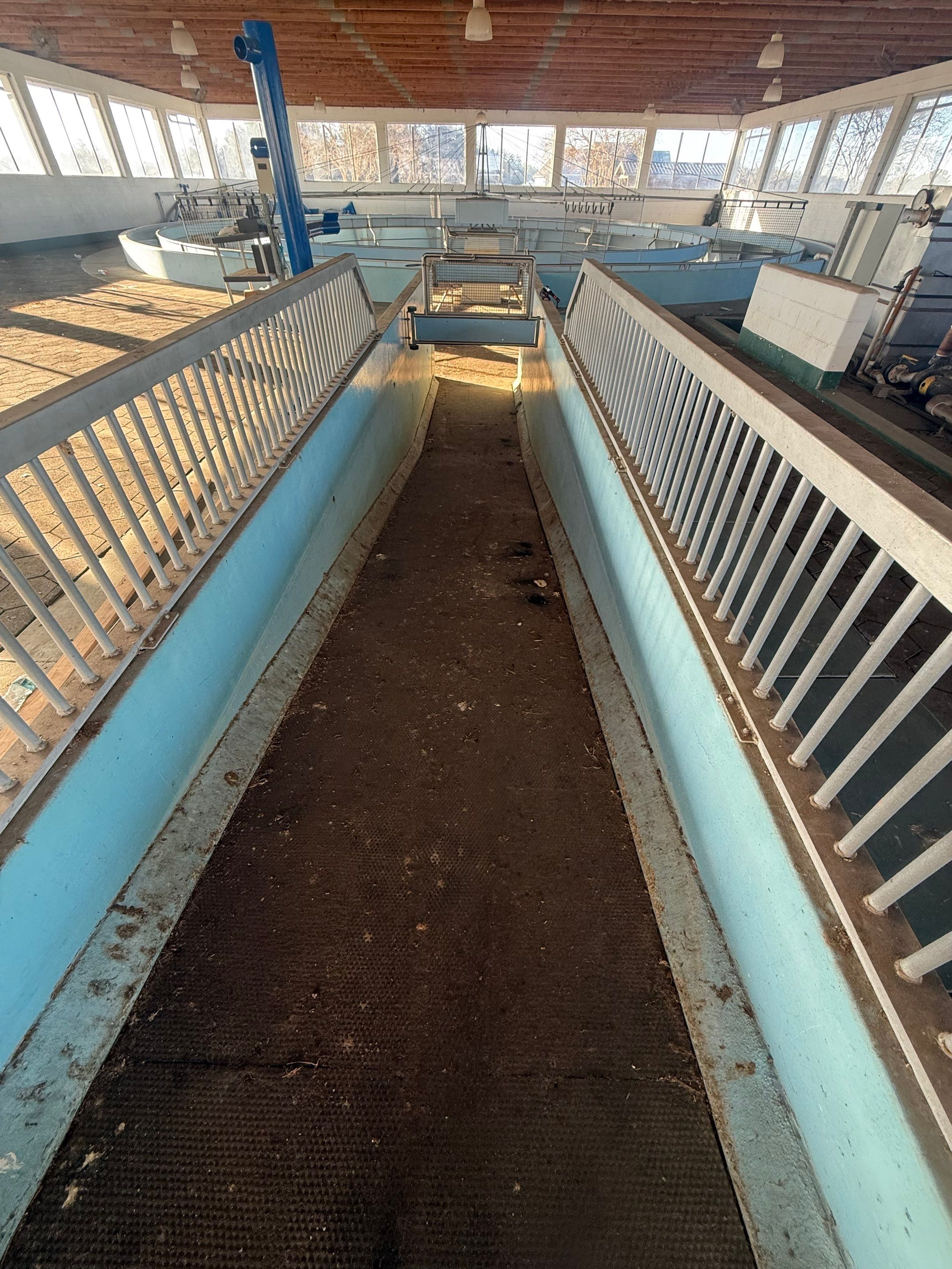 Horse Walker Cleaning Project by Infinite Exteriors LLC