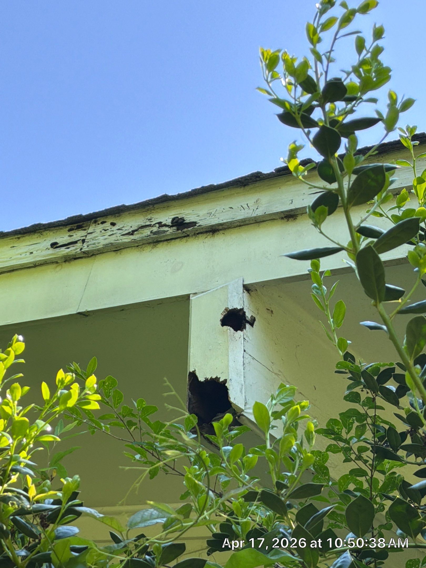 Exterior Wood Replacement and Fascia Repairs in Oxford by PGP Surface Solutions, LLC