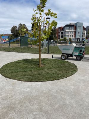 Project in Foster City