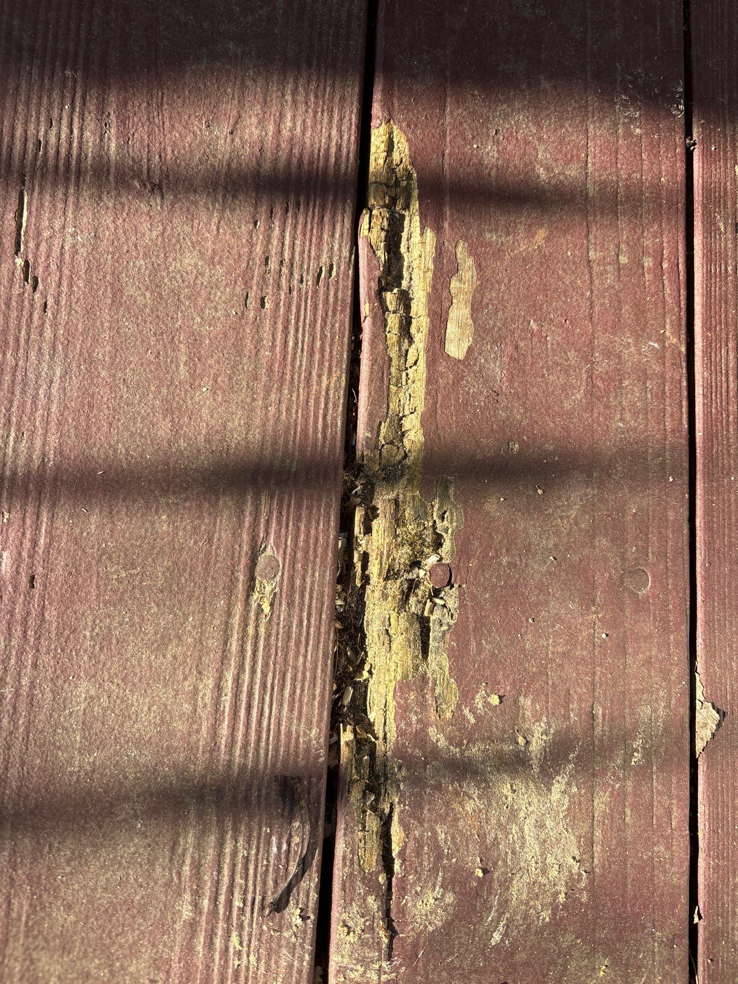 Coated Deck using Wood Sealant + Stain by DuraSeal
