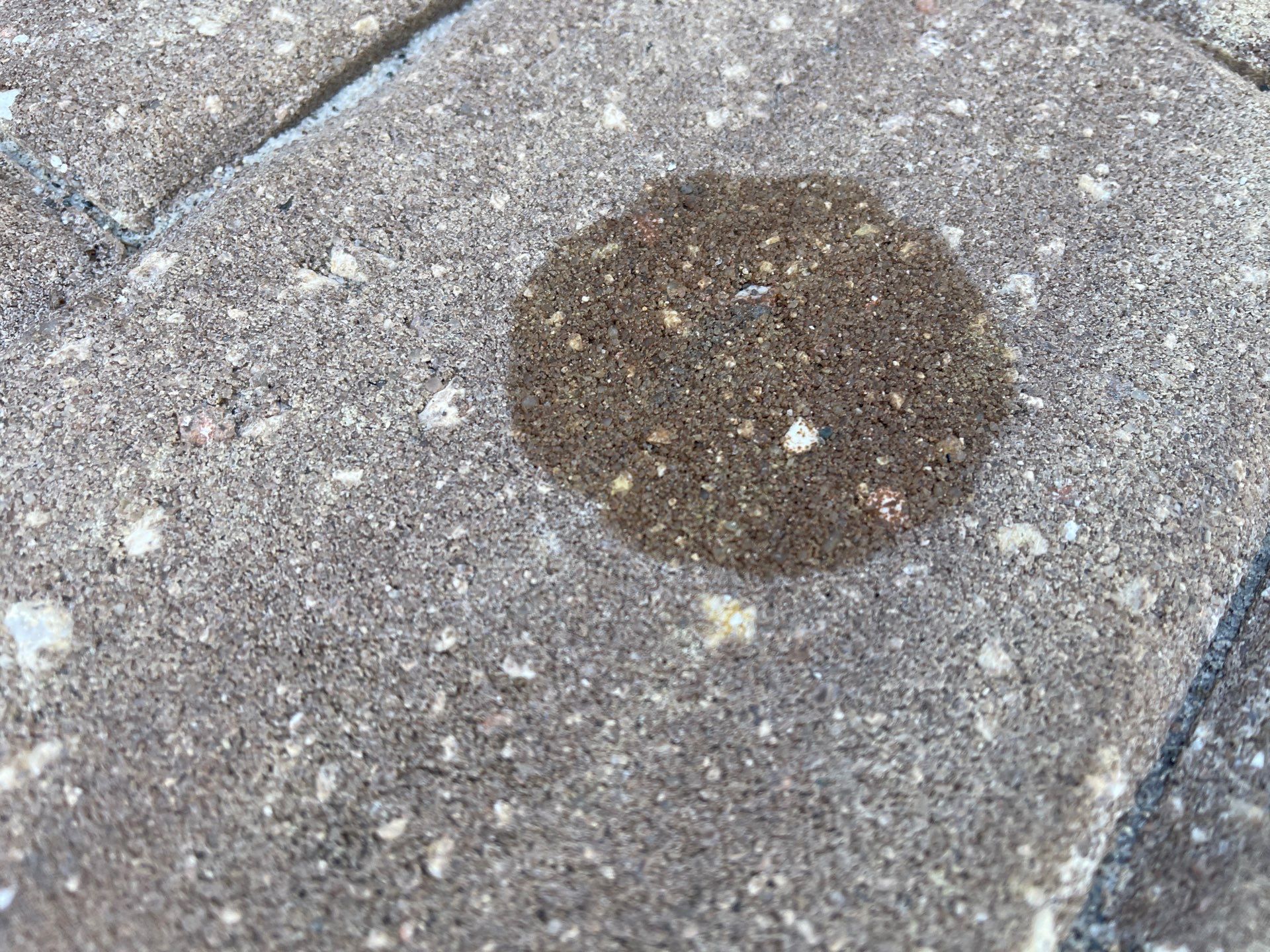 Pool Pavers using TopSeal and PolySand by DuraSeal