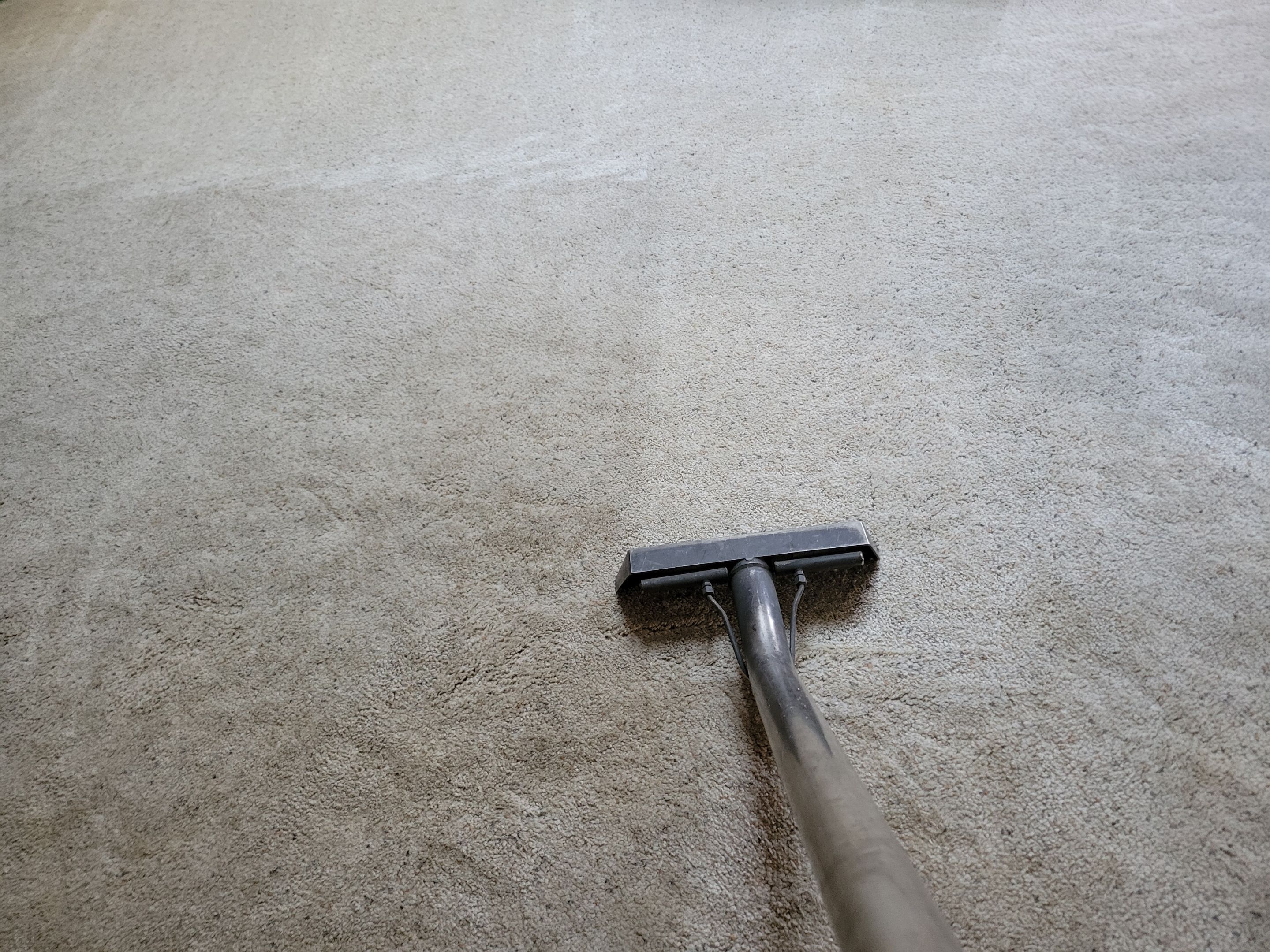 Carpet Cleaning in Carmichael by Ardent Carpet Restore LLC