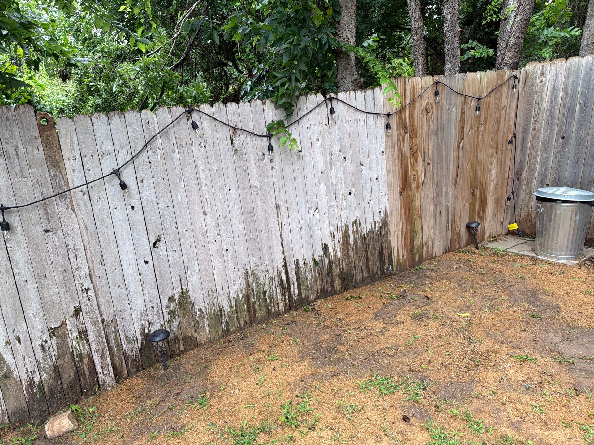 Custom Cedar Privacy Fence Replacement and Staining in Georgetown by Rhino Home Care