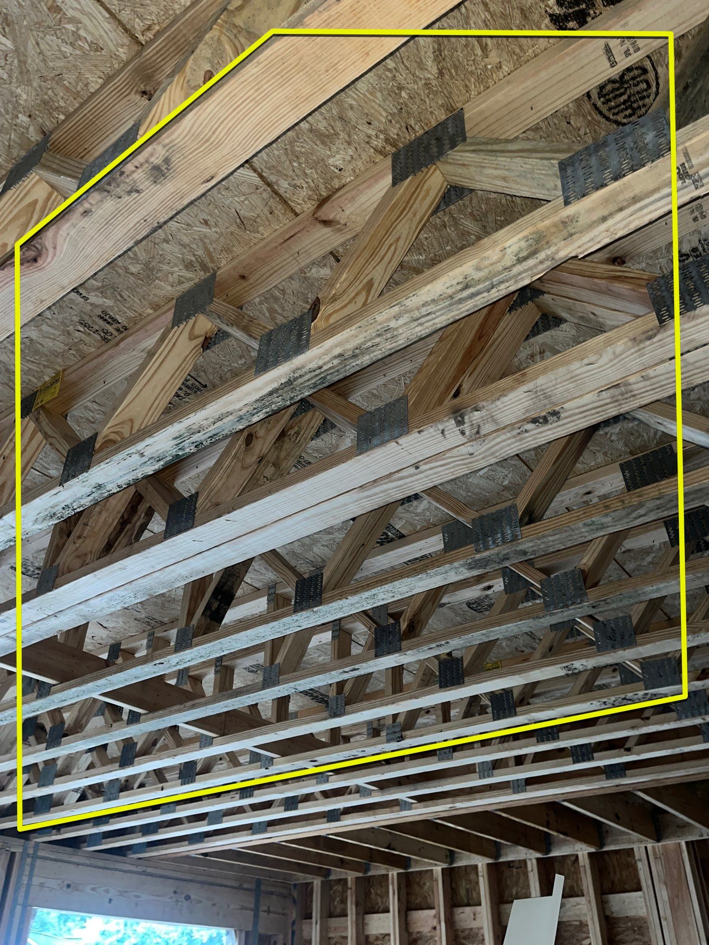  Mold remediation for custom home addition by EAS Environmental, LLC.