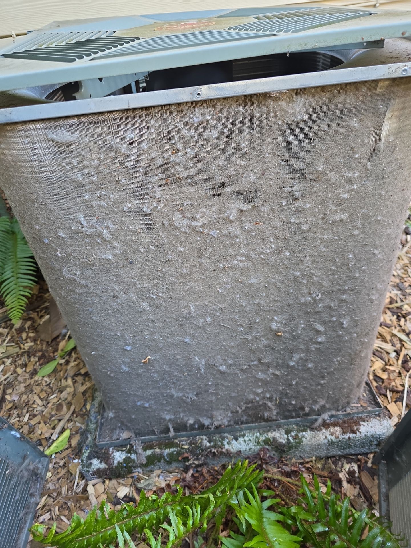 Project in Portland by HVA Climate Control