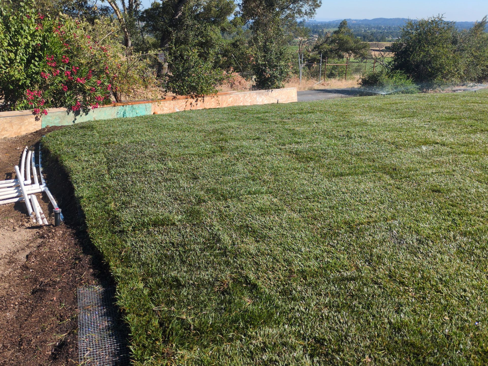 Project in Napa by A - G Sod Farms