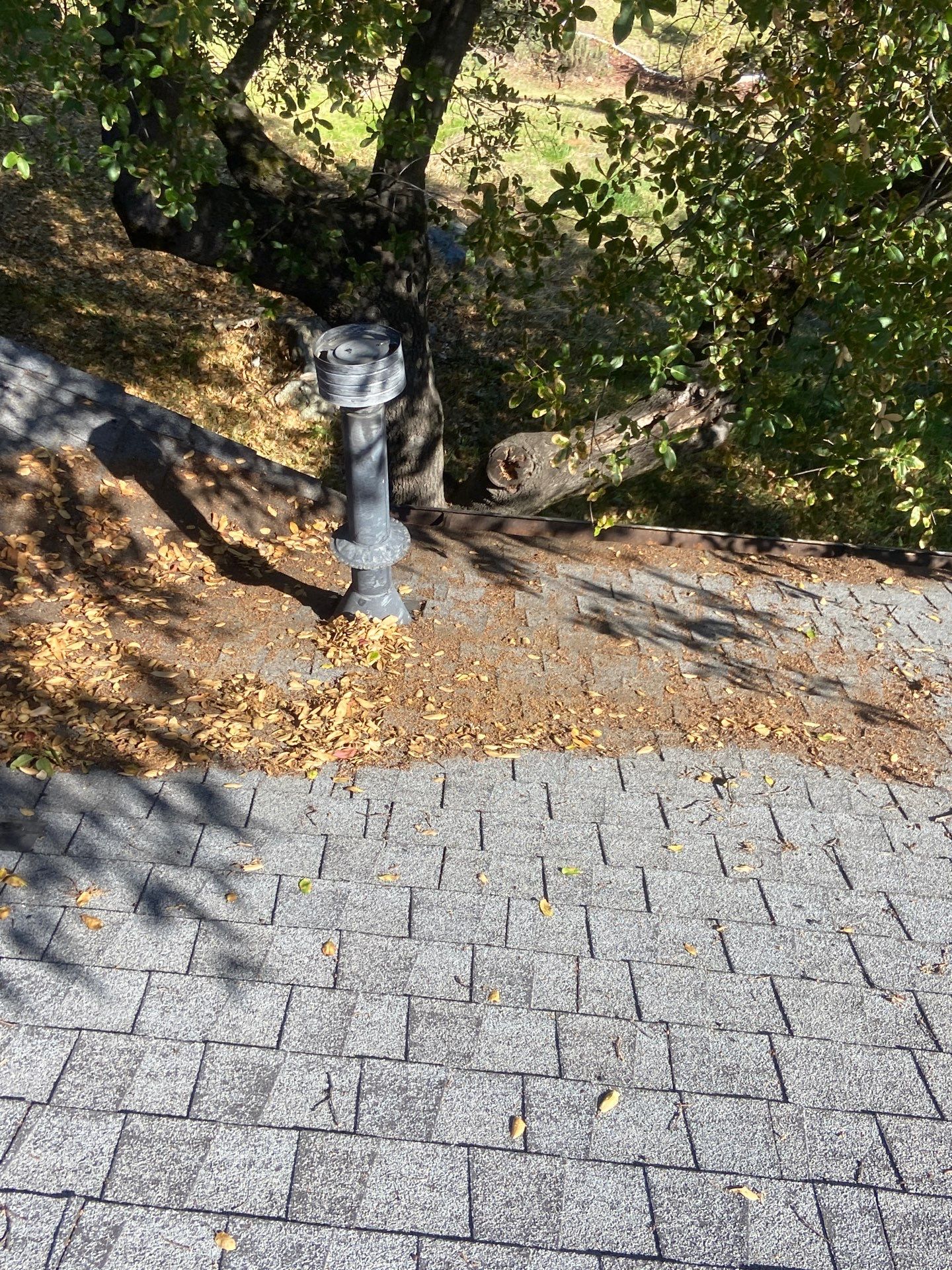 Roof Rejuvenation using Roof Maxx Treatment by Roof Maxx of Folsom