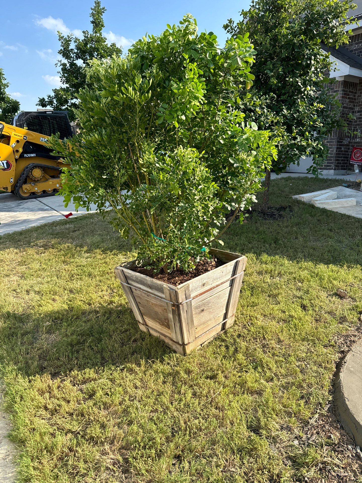Wortham Oaks - San Antonio, TX by Hole In One Lawns, LLC