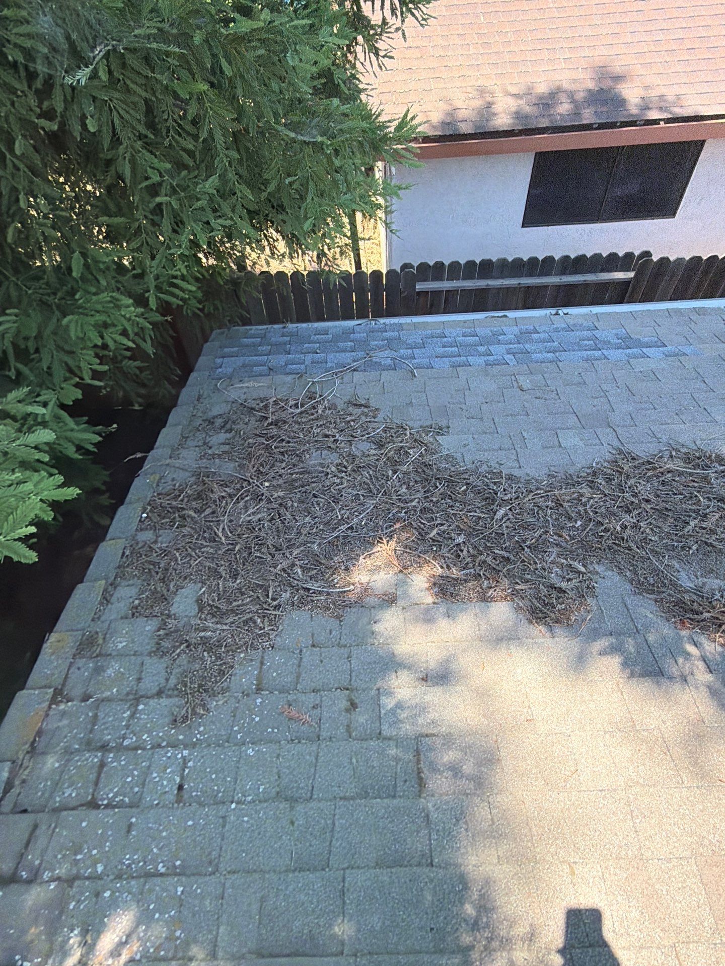 Roof Rejuvenation using Roof Maxx Treatment by Roof Maxx of Folsom