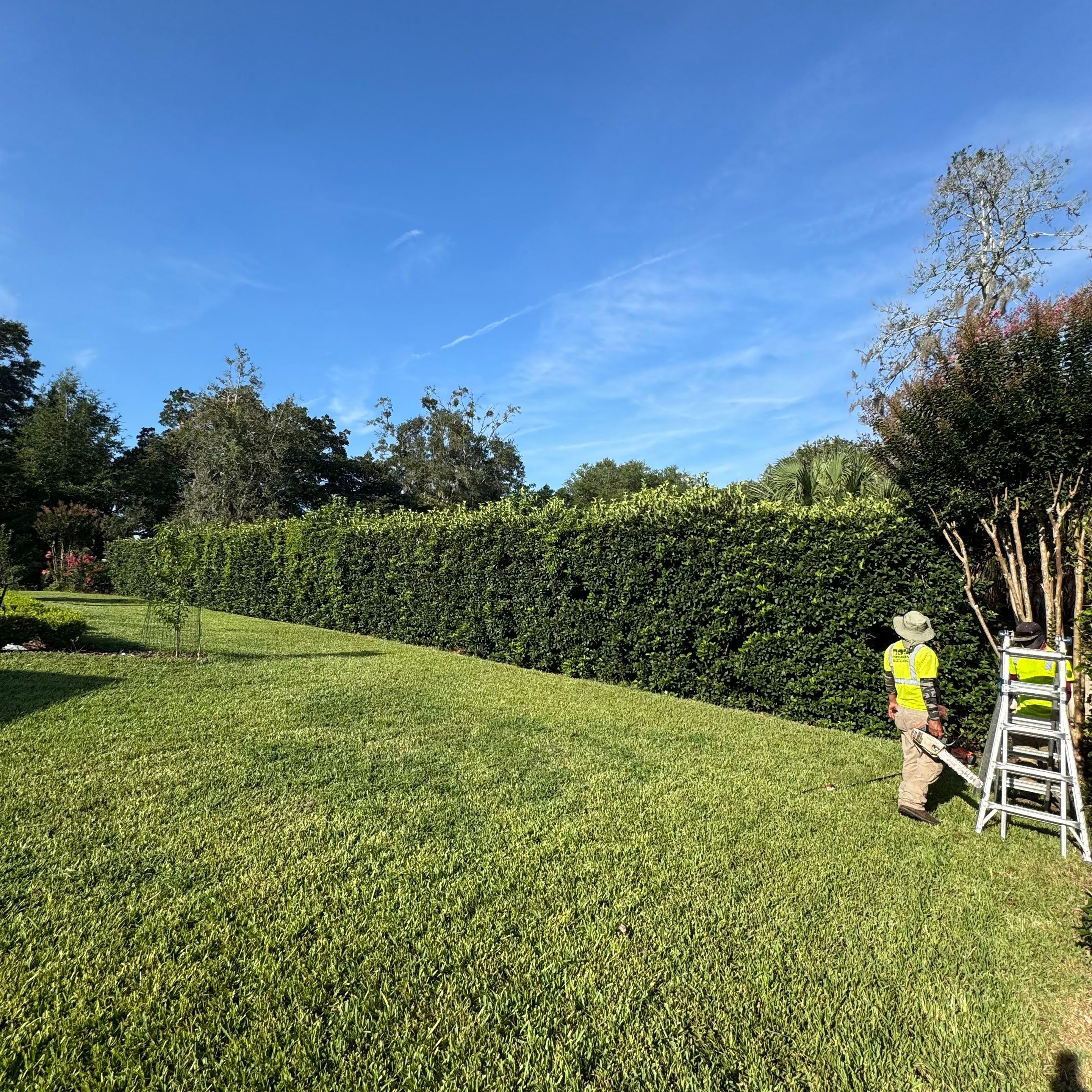 Deerwood Resident | Shrub Trimming by ProGreen Services