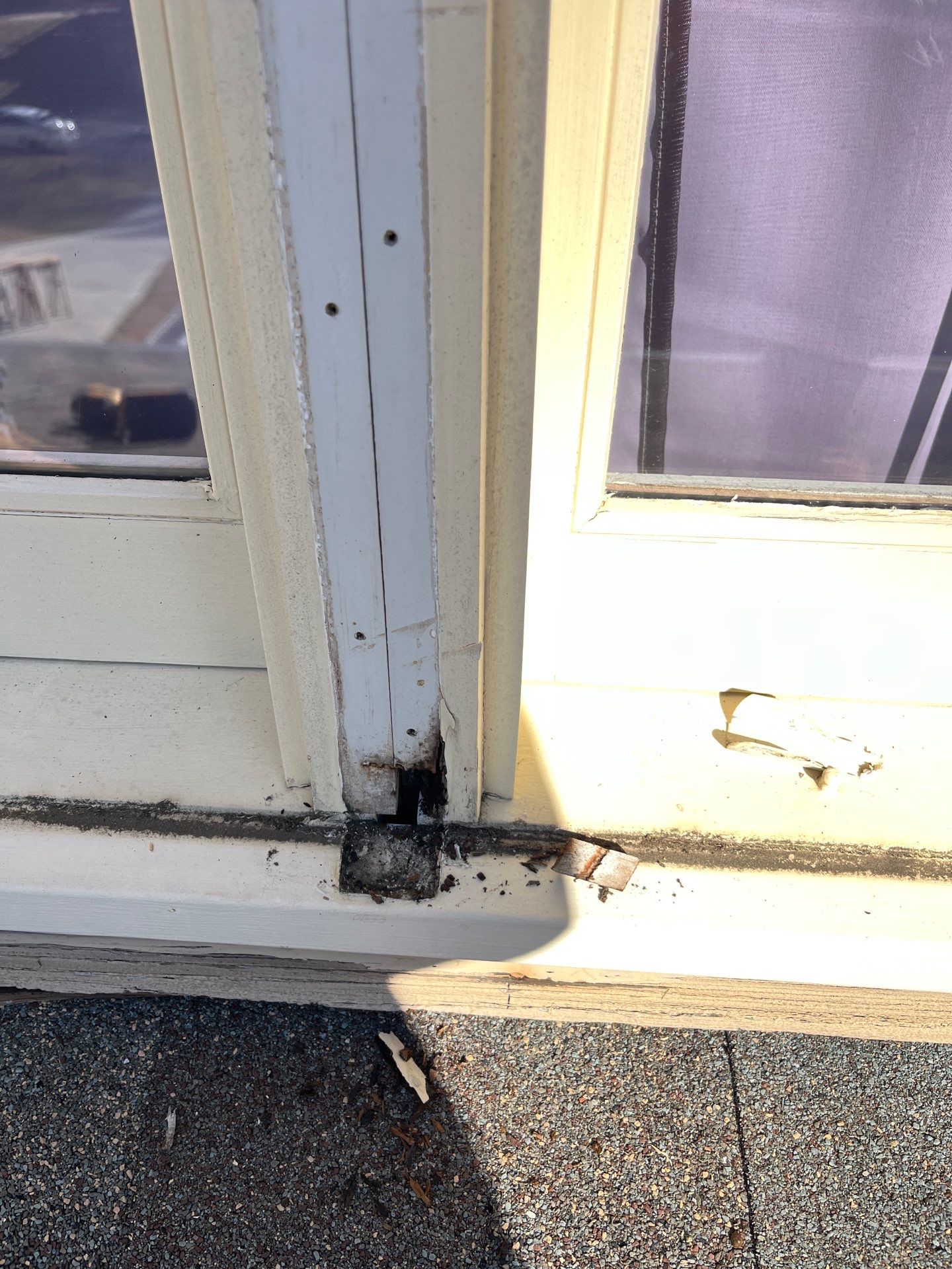 Exterior Painting, Rotted Wood Replacement, & Therma-Tru Door Installation by Nelson Exteriors 